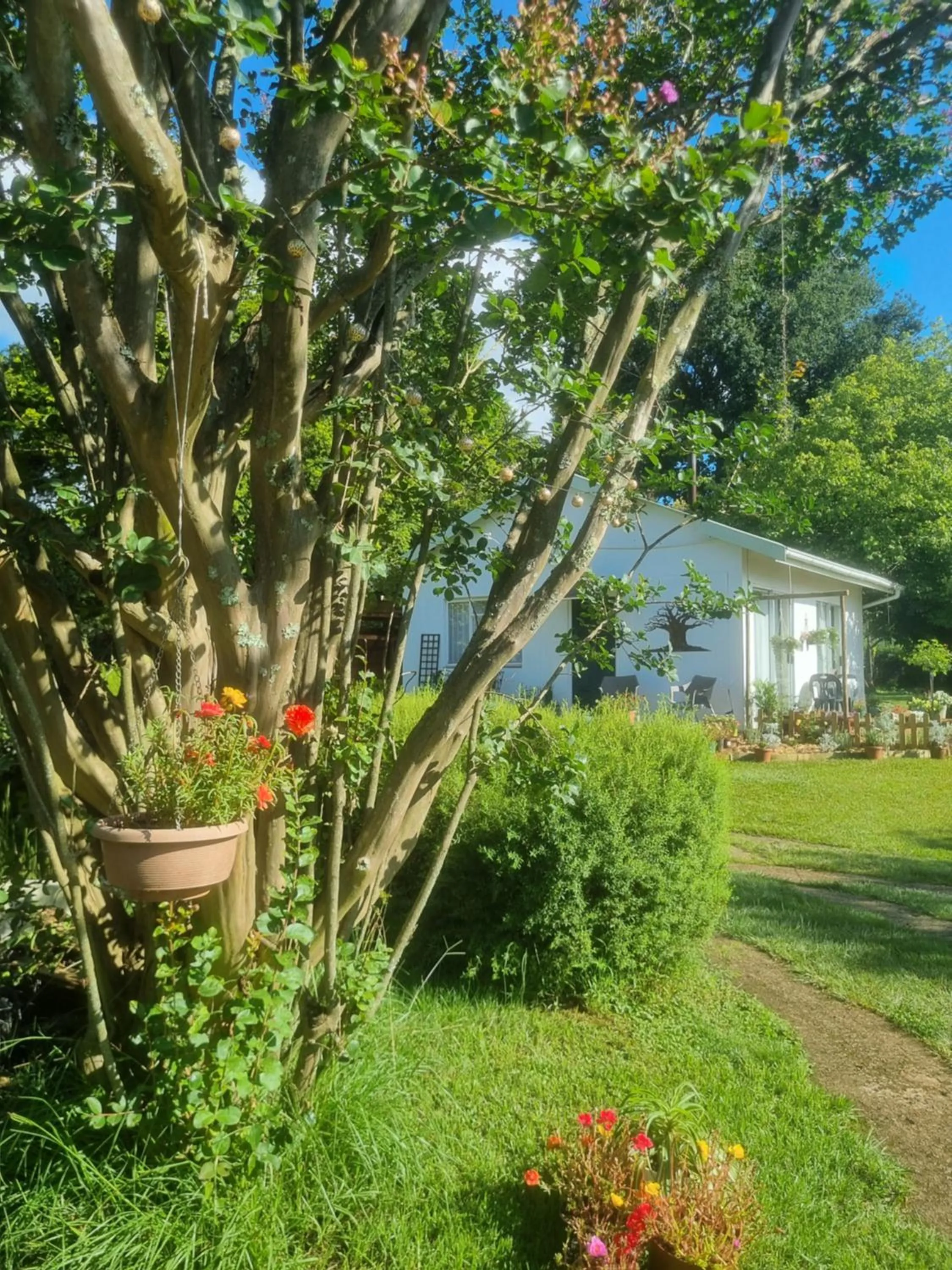 The Cottage on the Corner