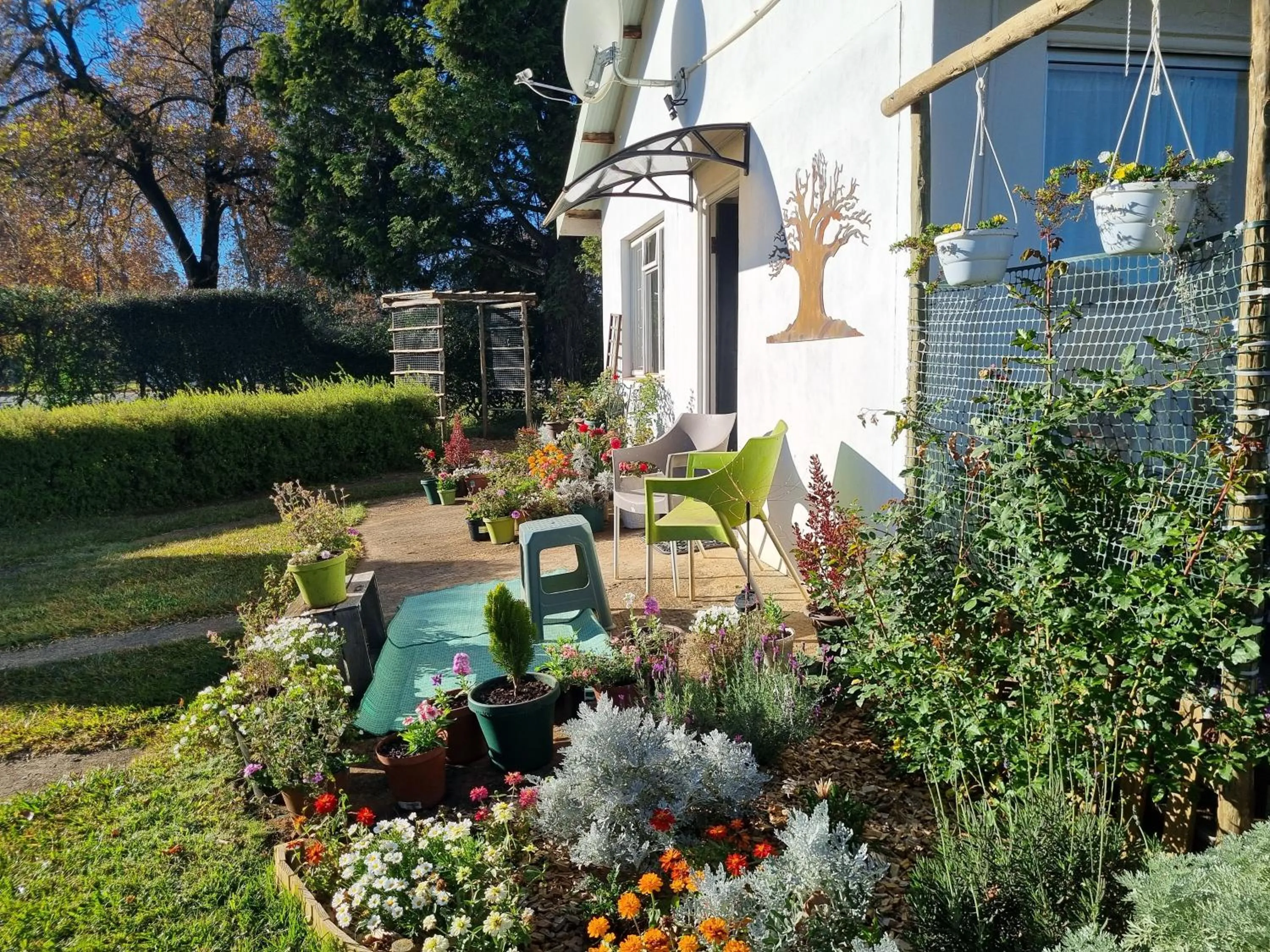 The Cottage on the Corner