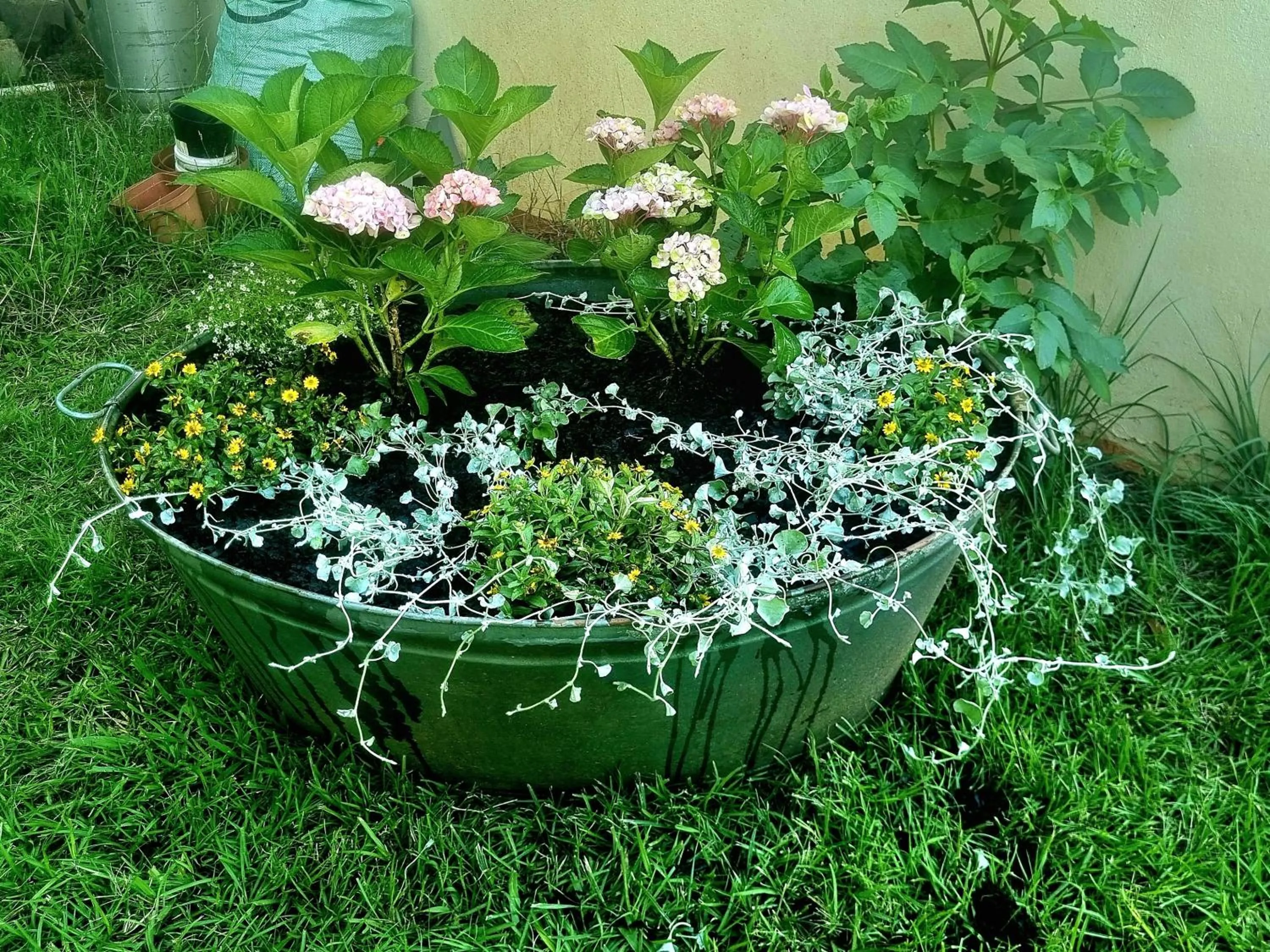 The Cottage on the Corner