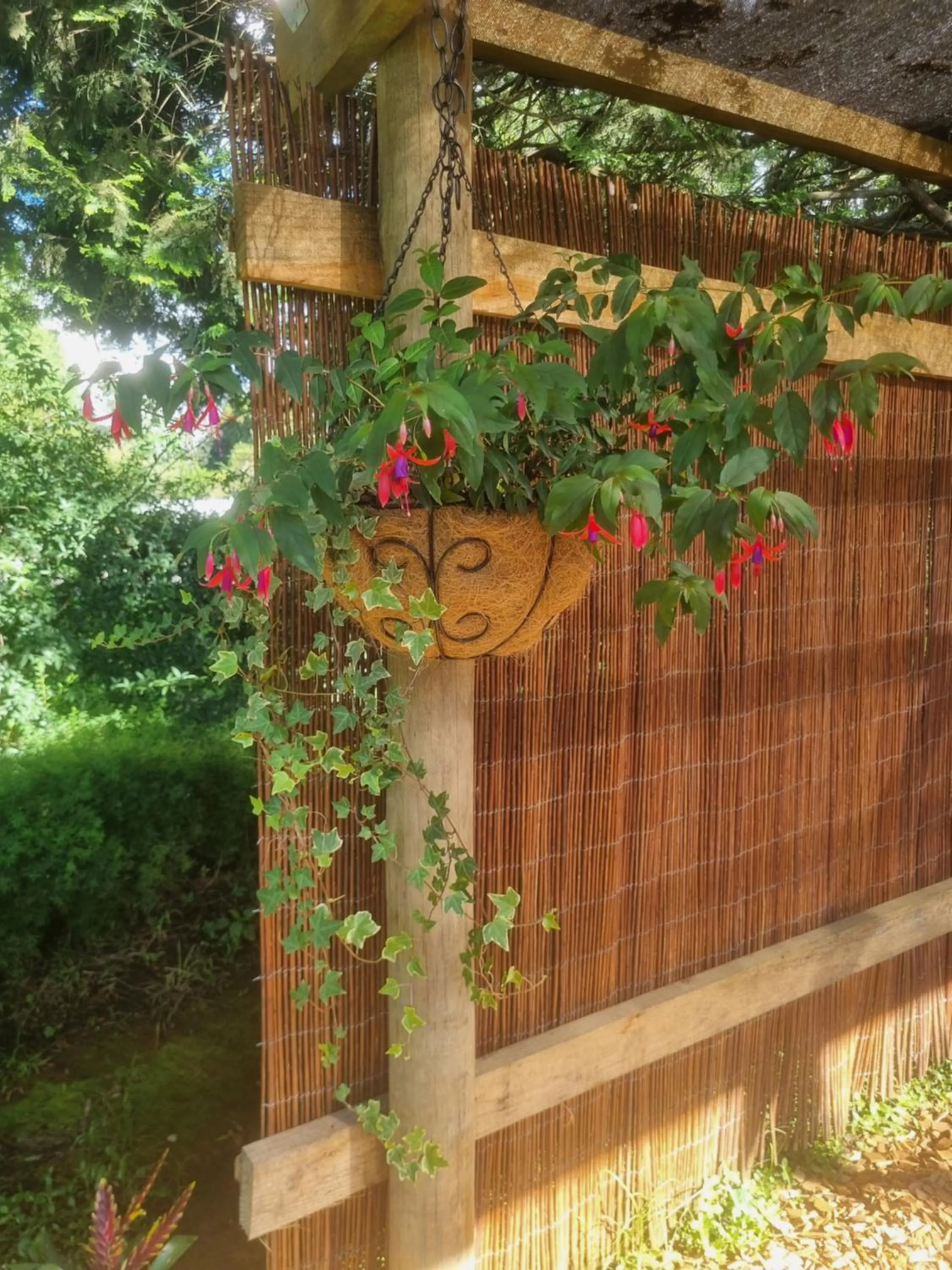 The Cottage on the Corner