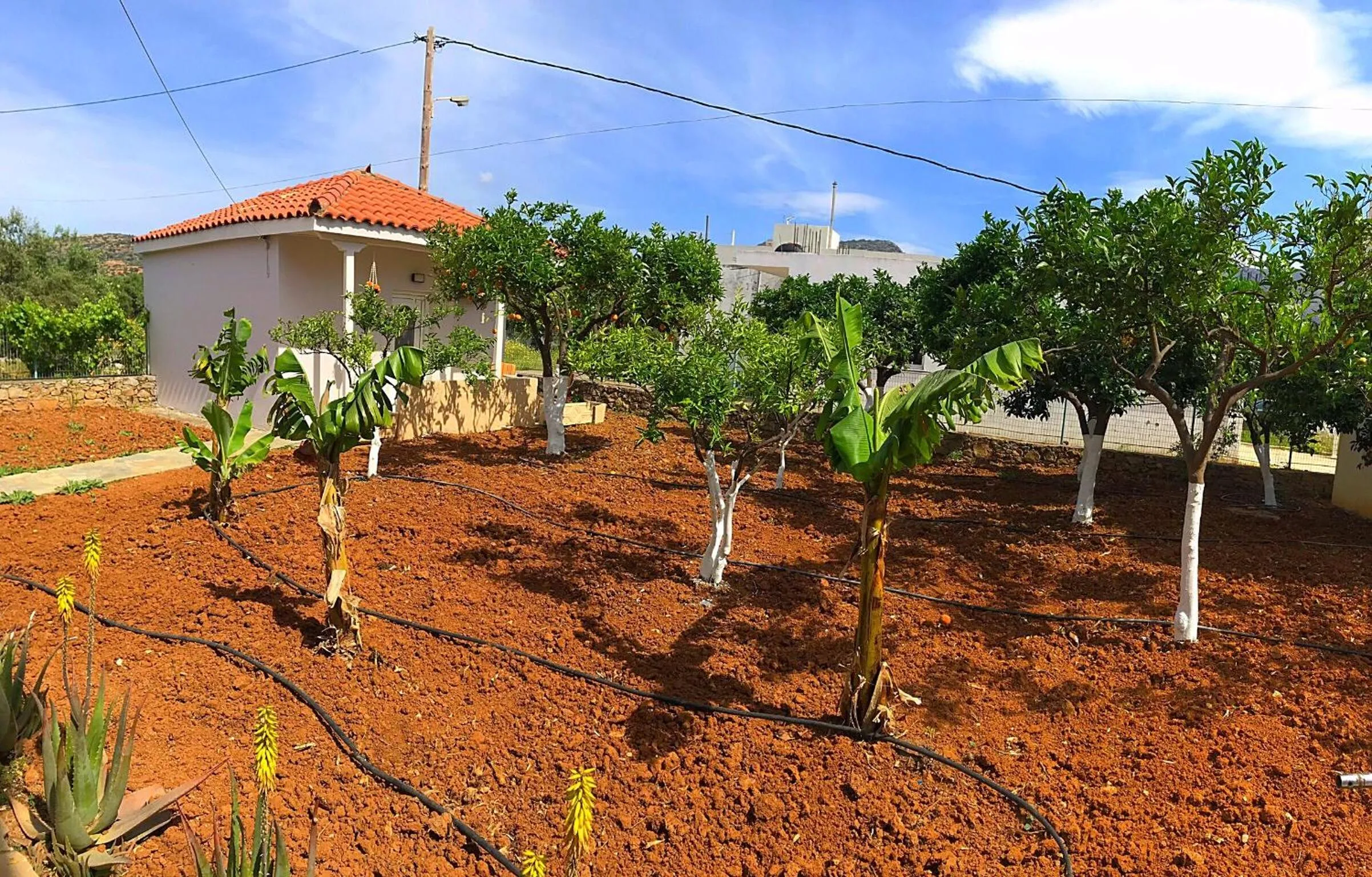 Property building in Maria Hotel Sisi