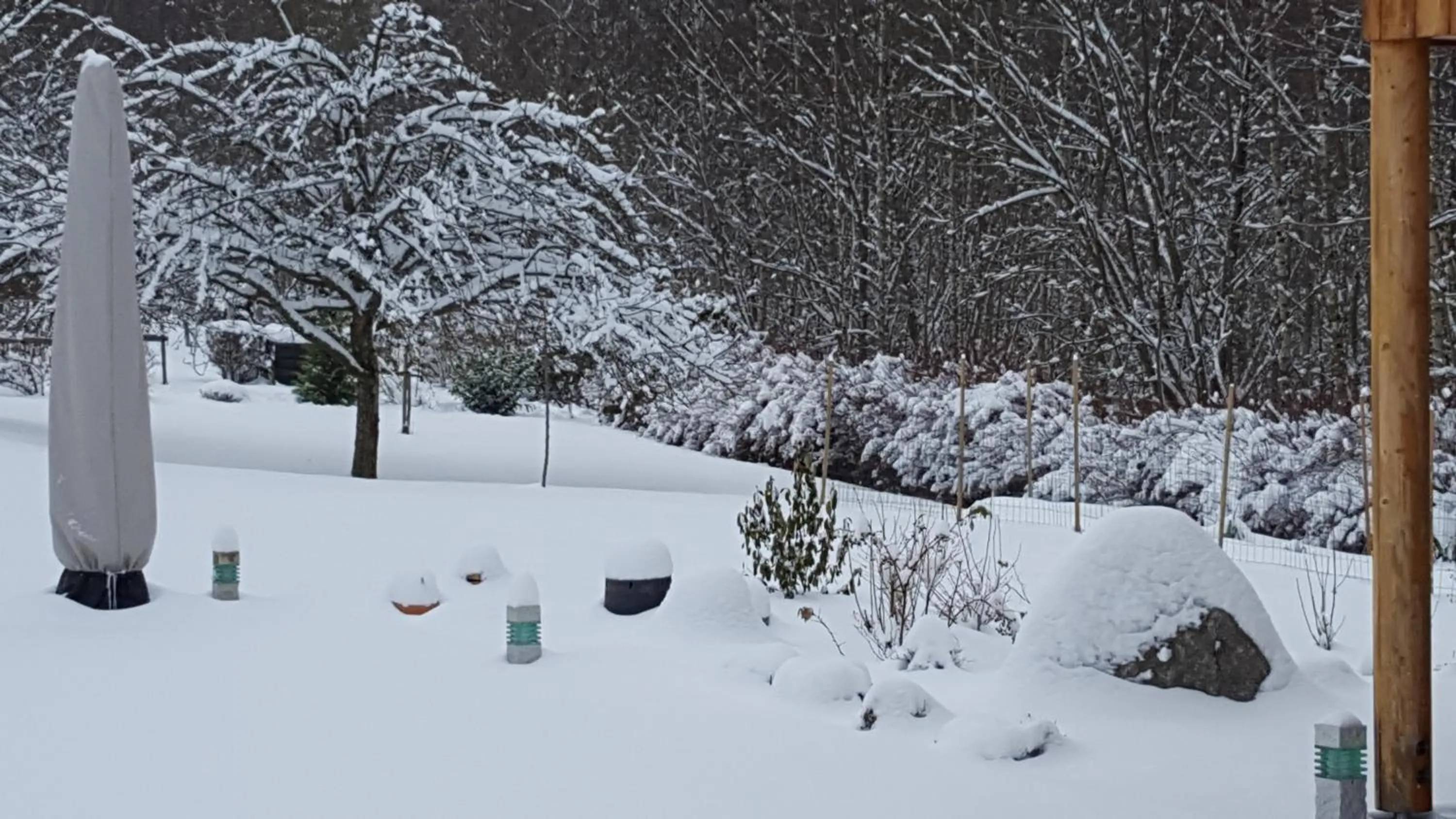 Garden view in Le Clos des Aulnes
