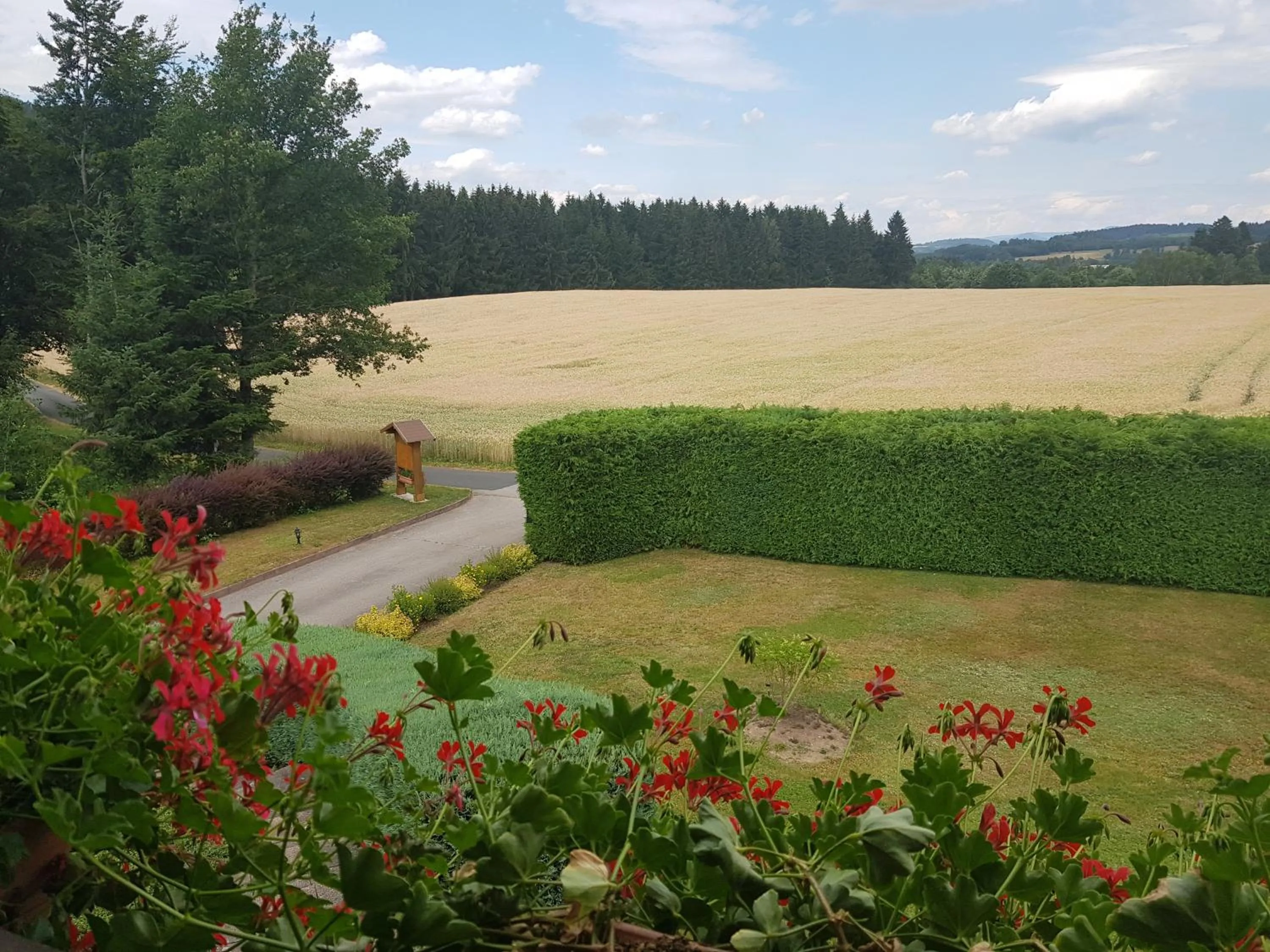 Natural landscape in Le Clos des Aulnes