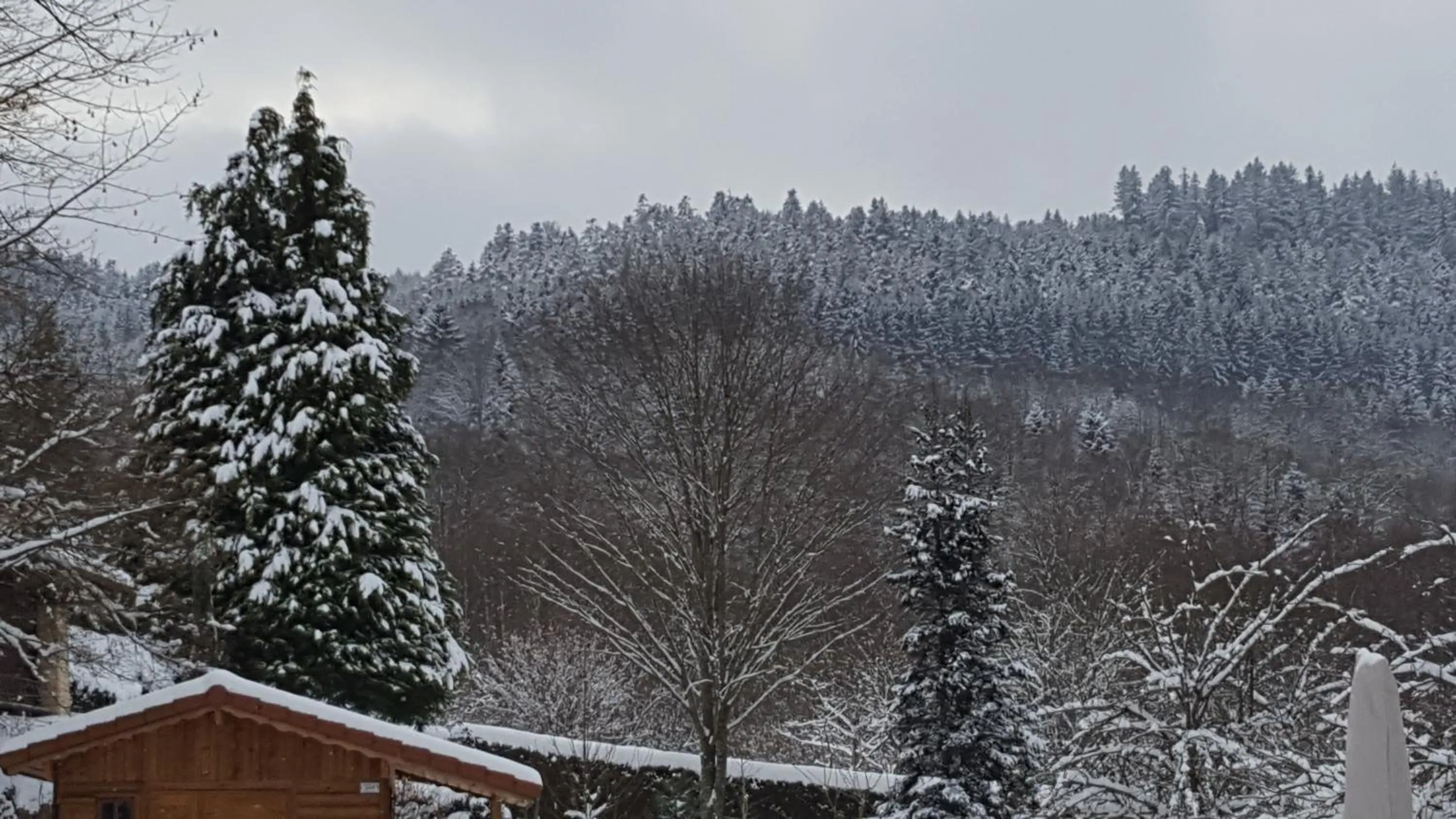 Garden view in Le Clos des Aulnes