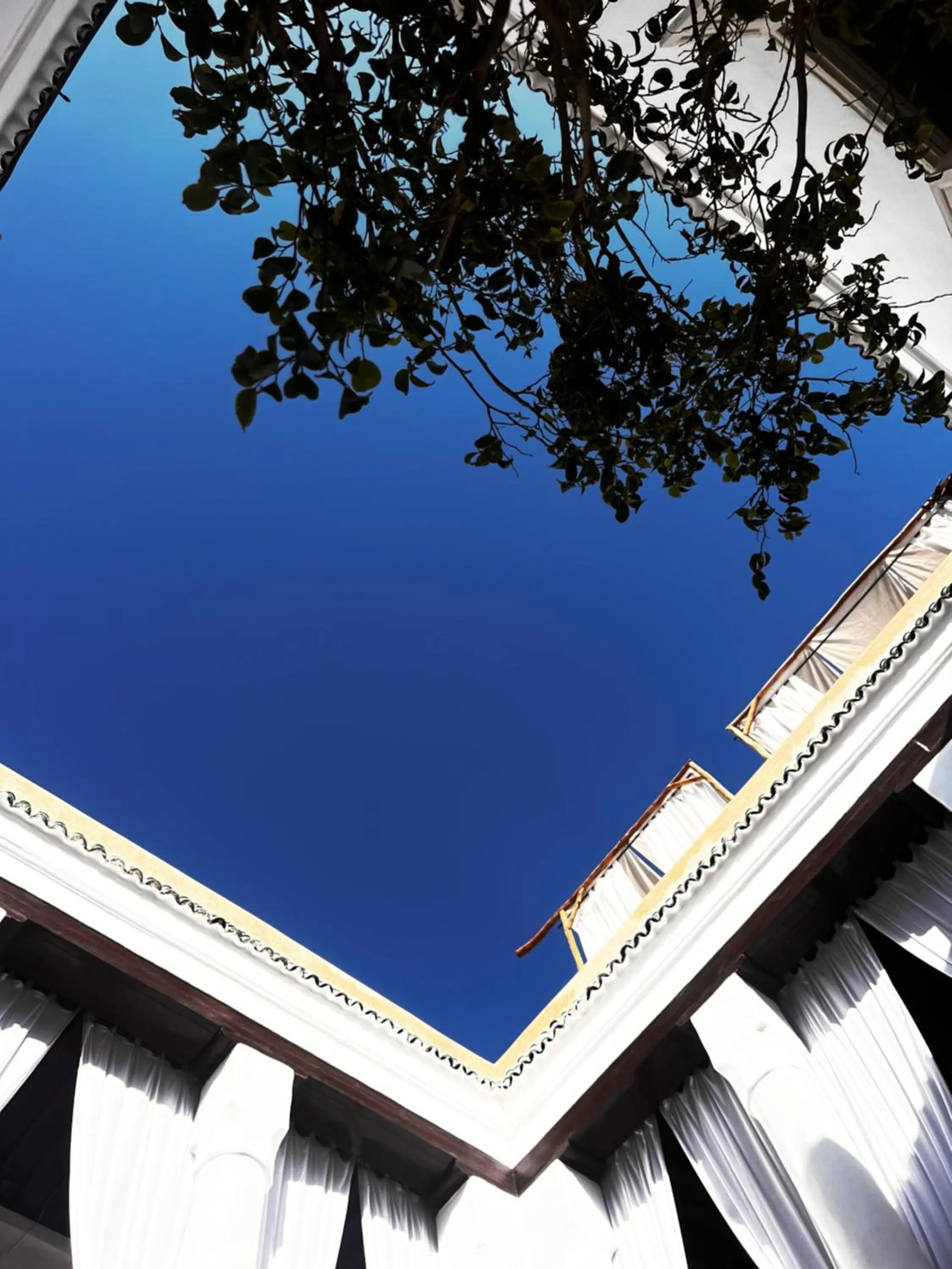 Day in Riad Tizwa Marrakech