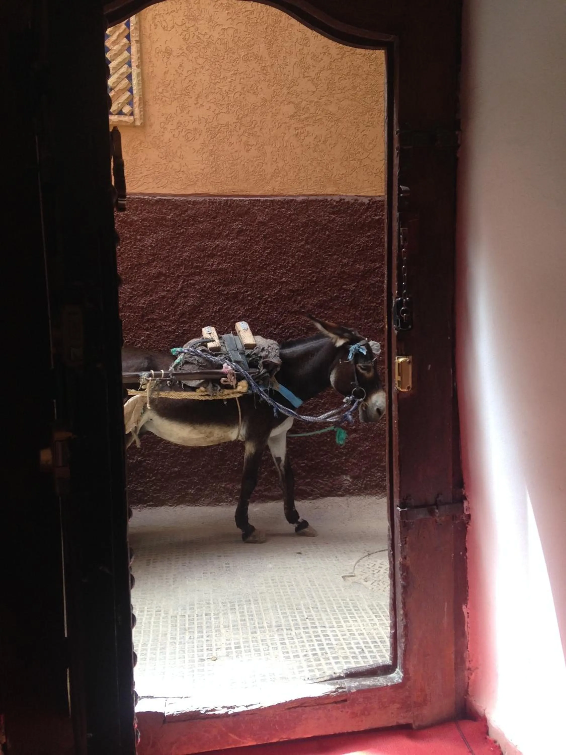 Facade/entrance in Riad Tizwa Marrakech