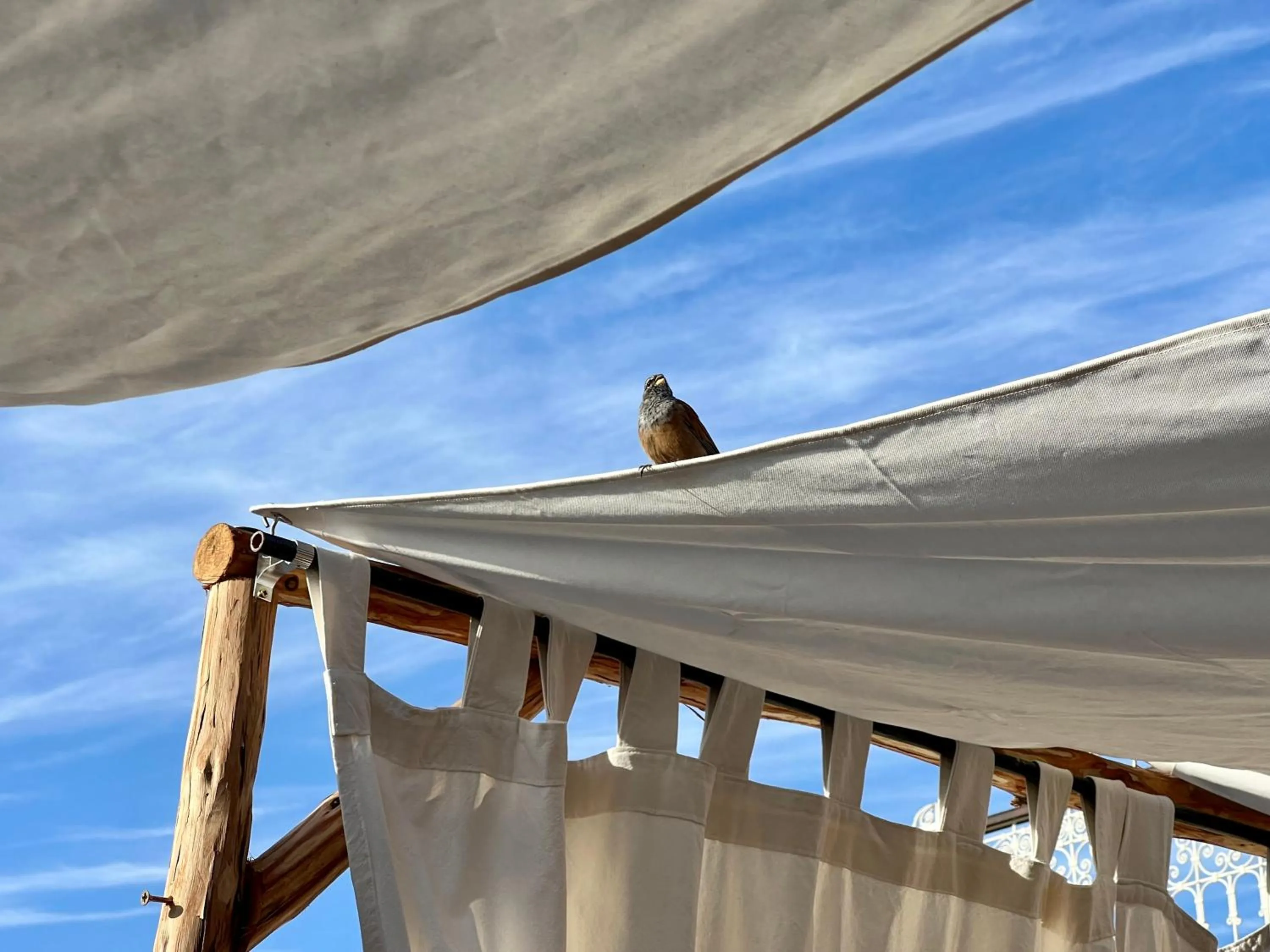 Day in Riad Tizwa Marrakech