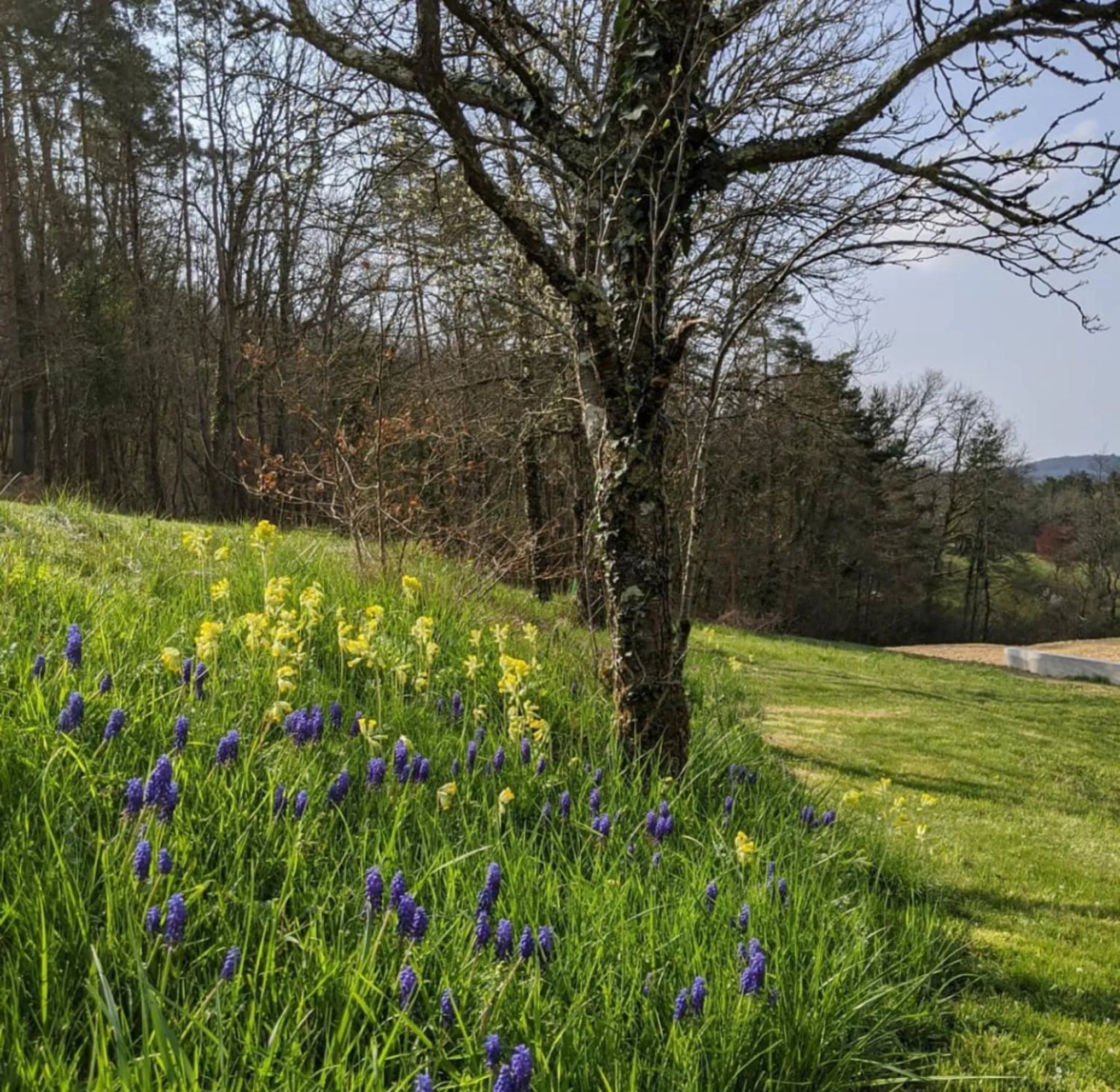 Natural landscape in Domaine de Fleurie