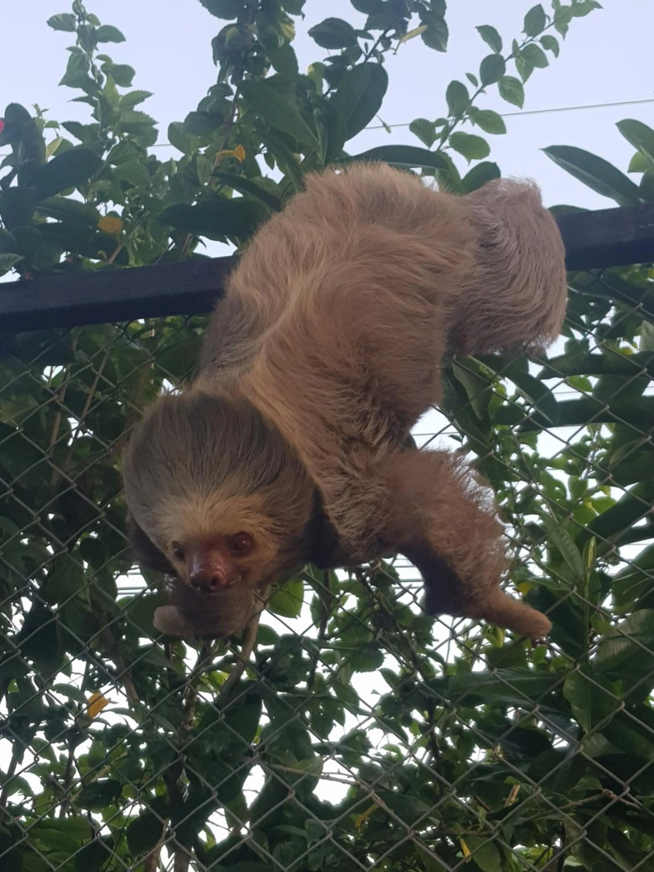Garden in Hotel El Paraiso Escondido - Costa Rica