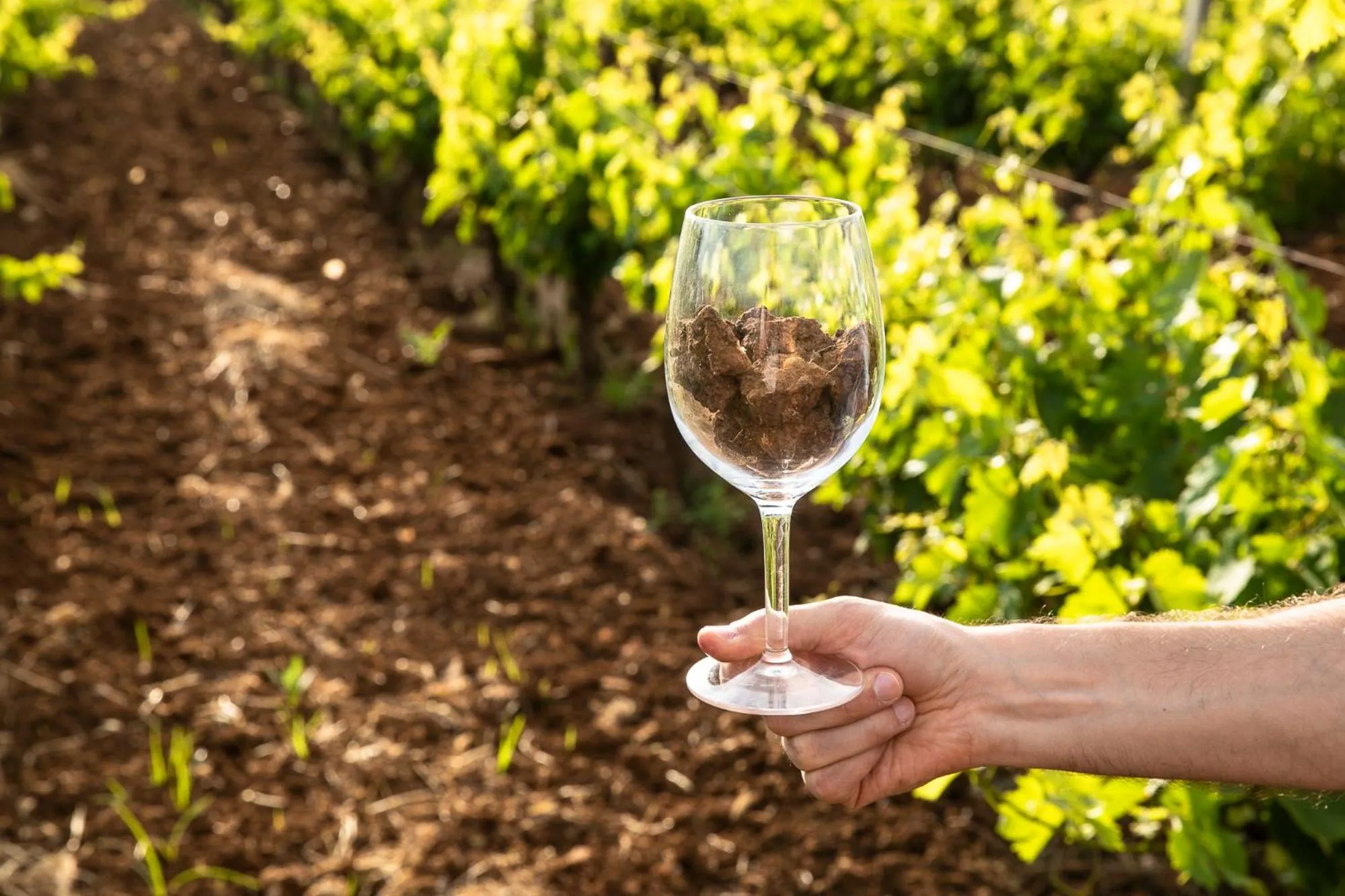 Masseria Baroni Nuovi