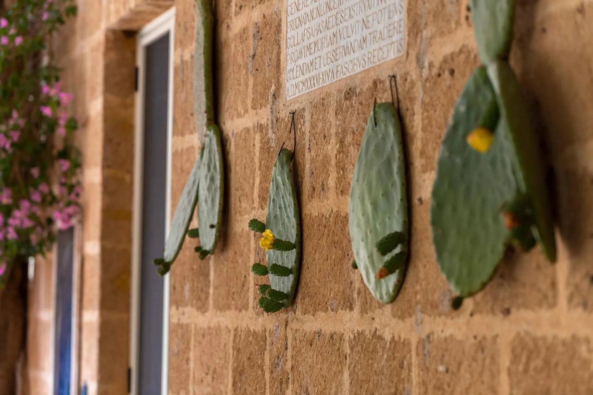 Masseria Baroni Nuovi