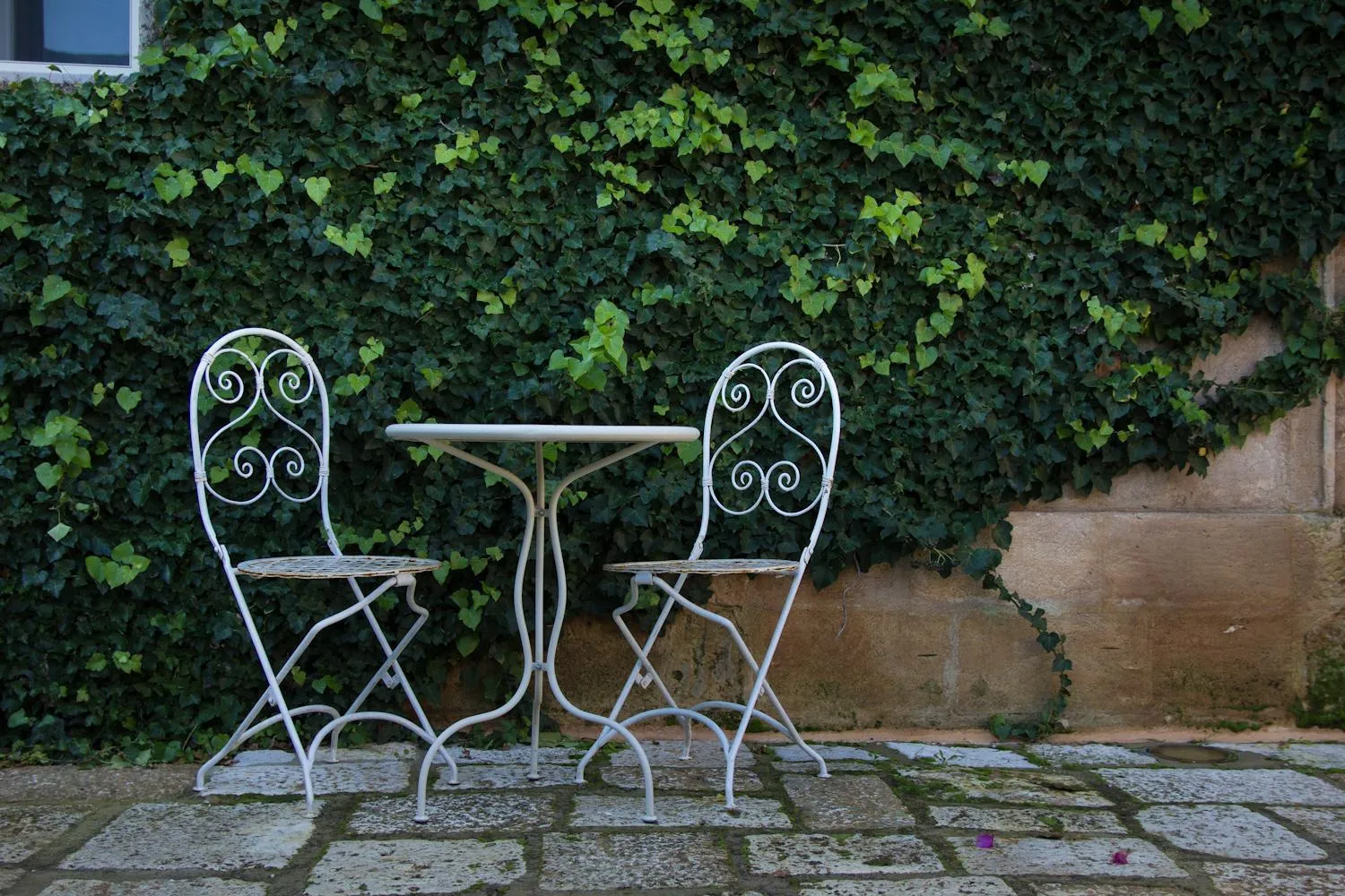 Garden in Masseria Baroni Nuovi