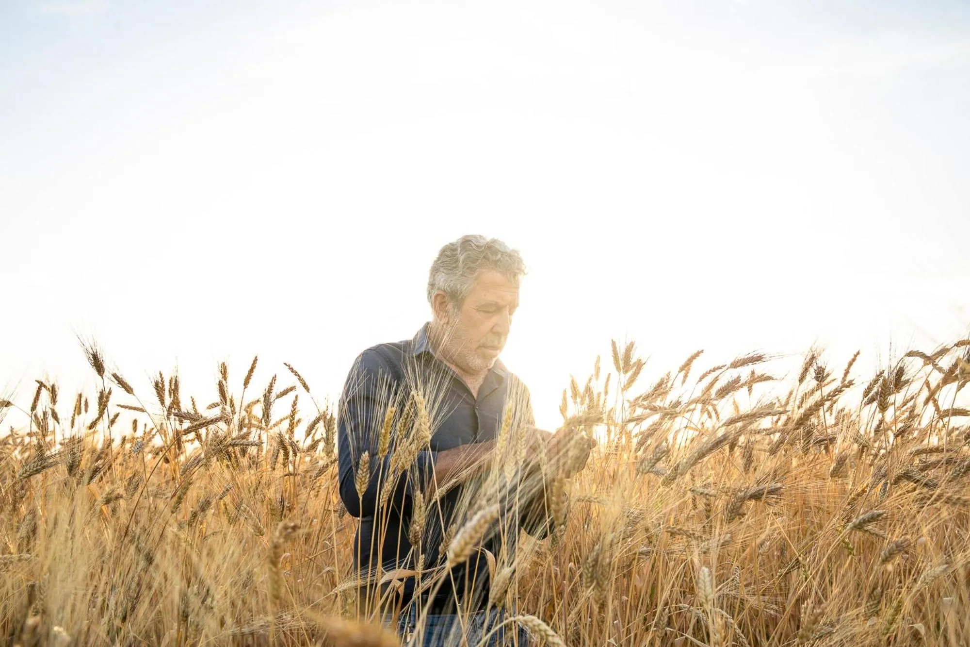 Masseria Baroni Nuovi