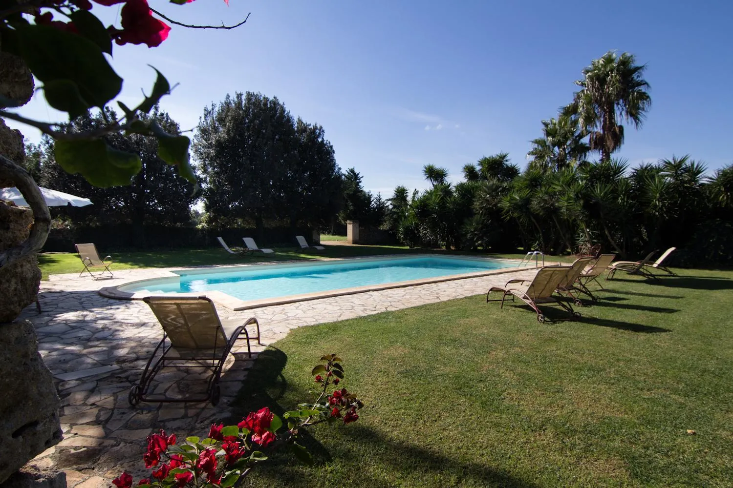 Swimming pool in Masseria Baroni Nuovi
