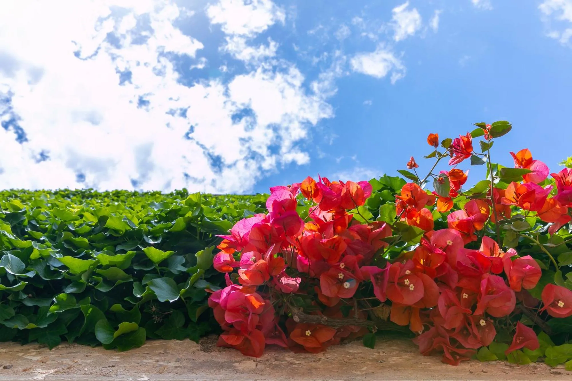 Masseria Baroni Nuovi