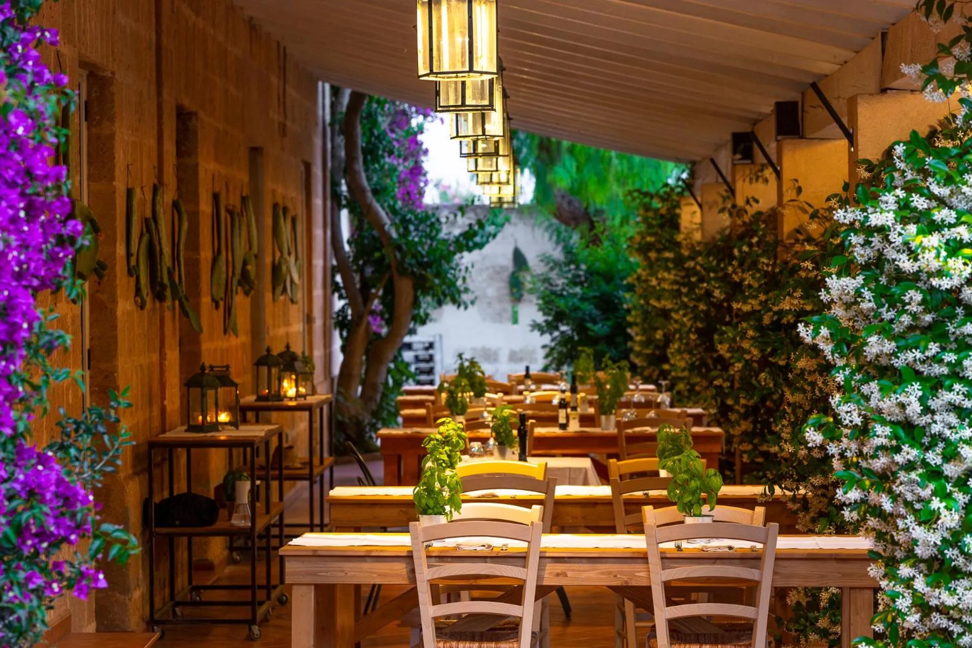 Masseria Baroni Nuovi