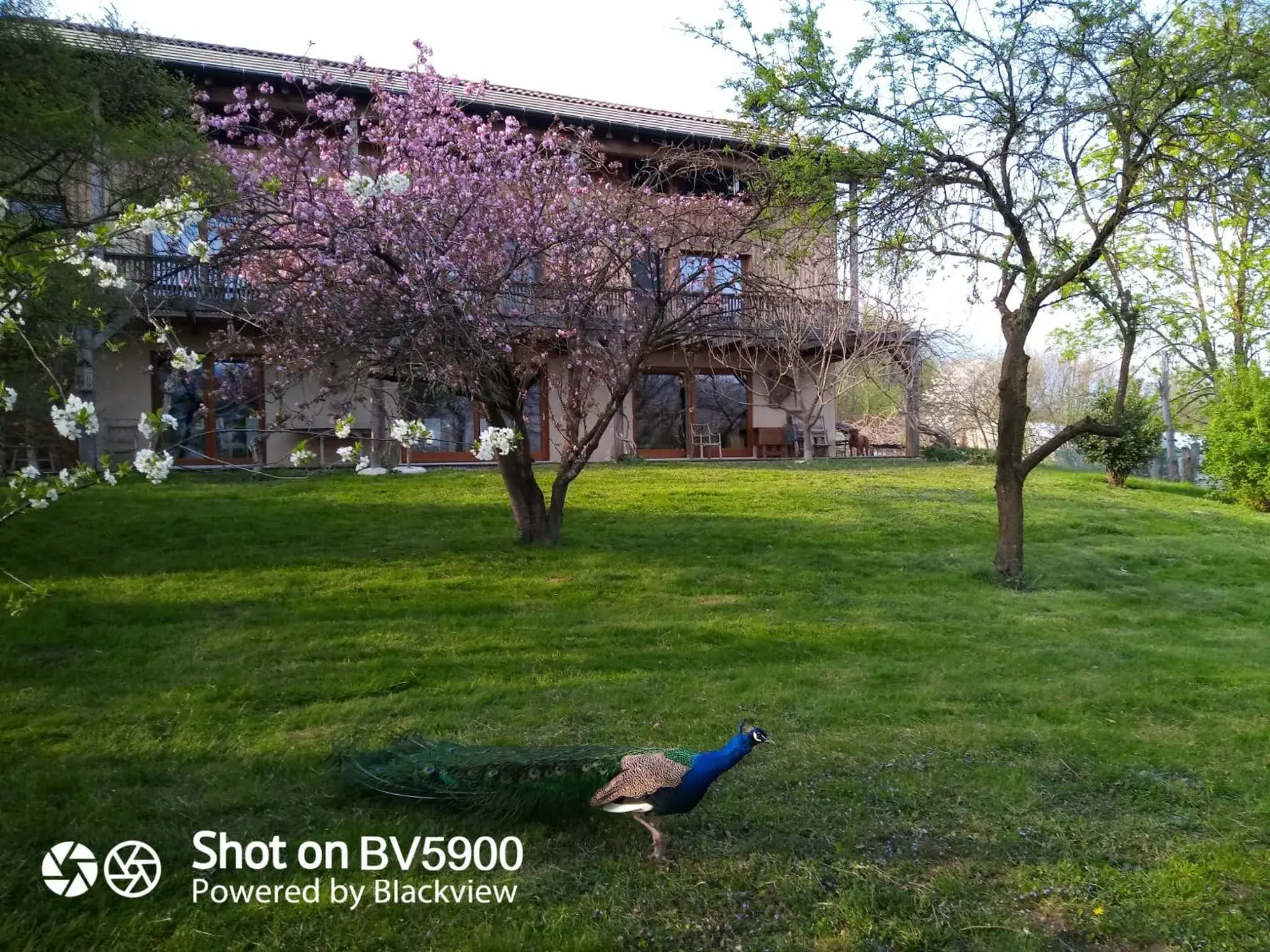 BioAgriturismo Vegan Campo di Cielo BioAgriturismo Vegan Campo di Cielo