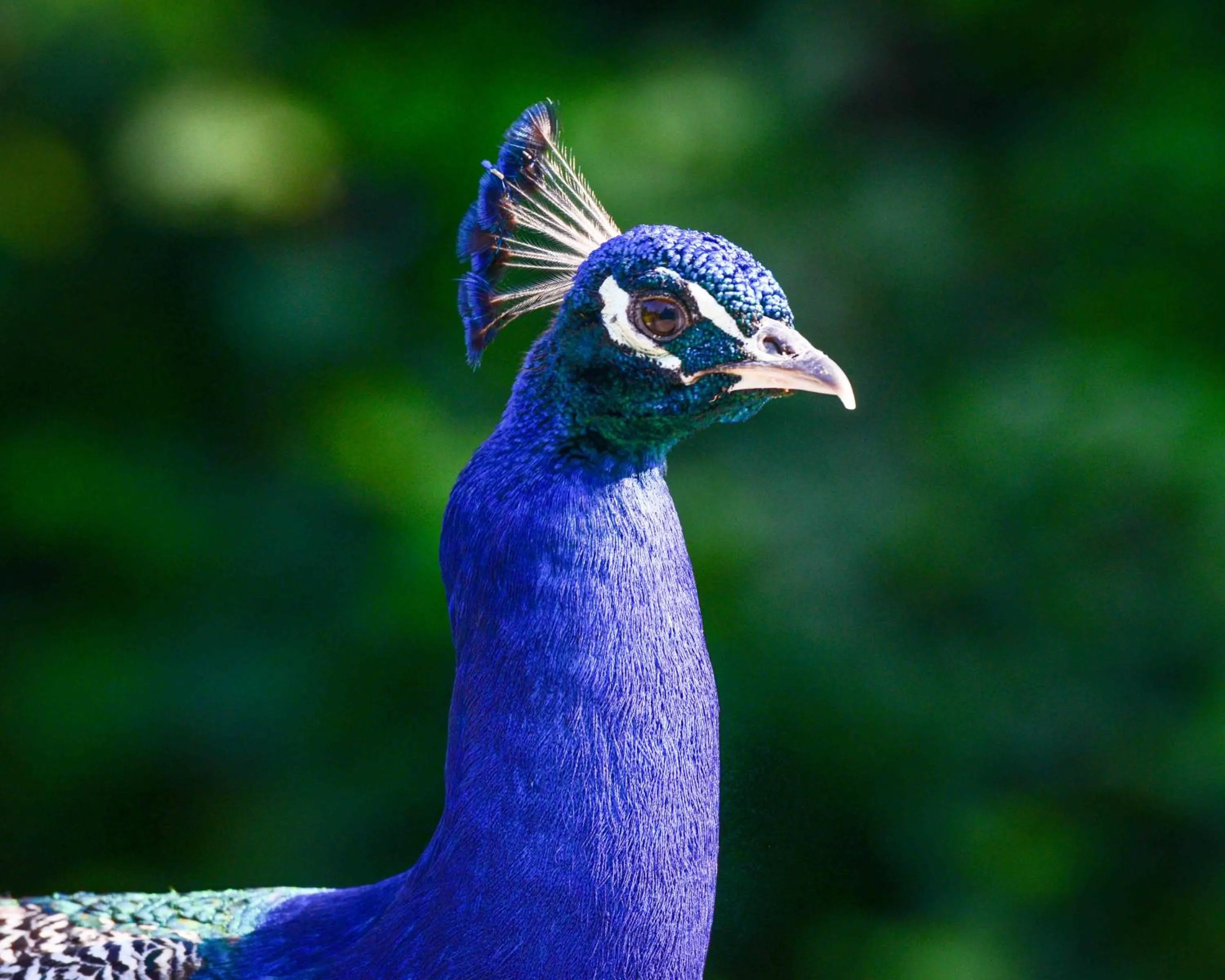 BioAgriturismo Vegan Campo di Cielo