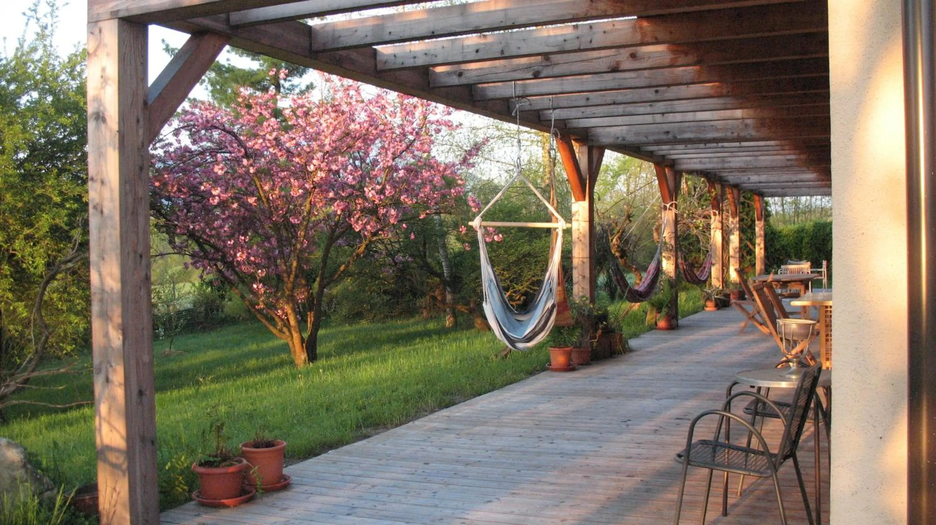 Garden in BioAgriturismo Vegan Campo di Cielo