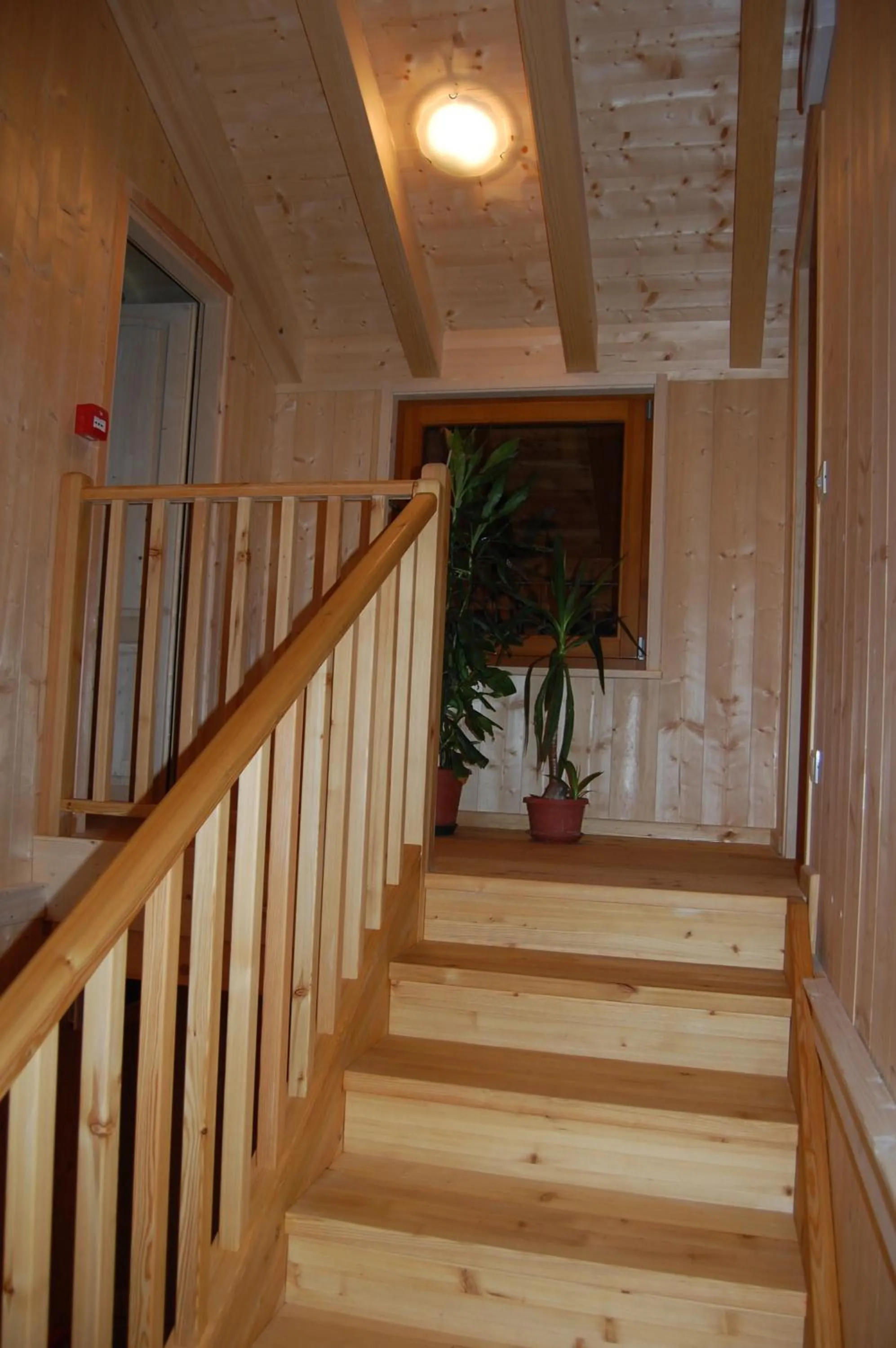 Area and facilities in BioAgriturismo Vegan Campo di Cielo