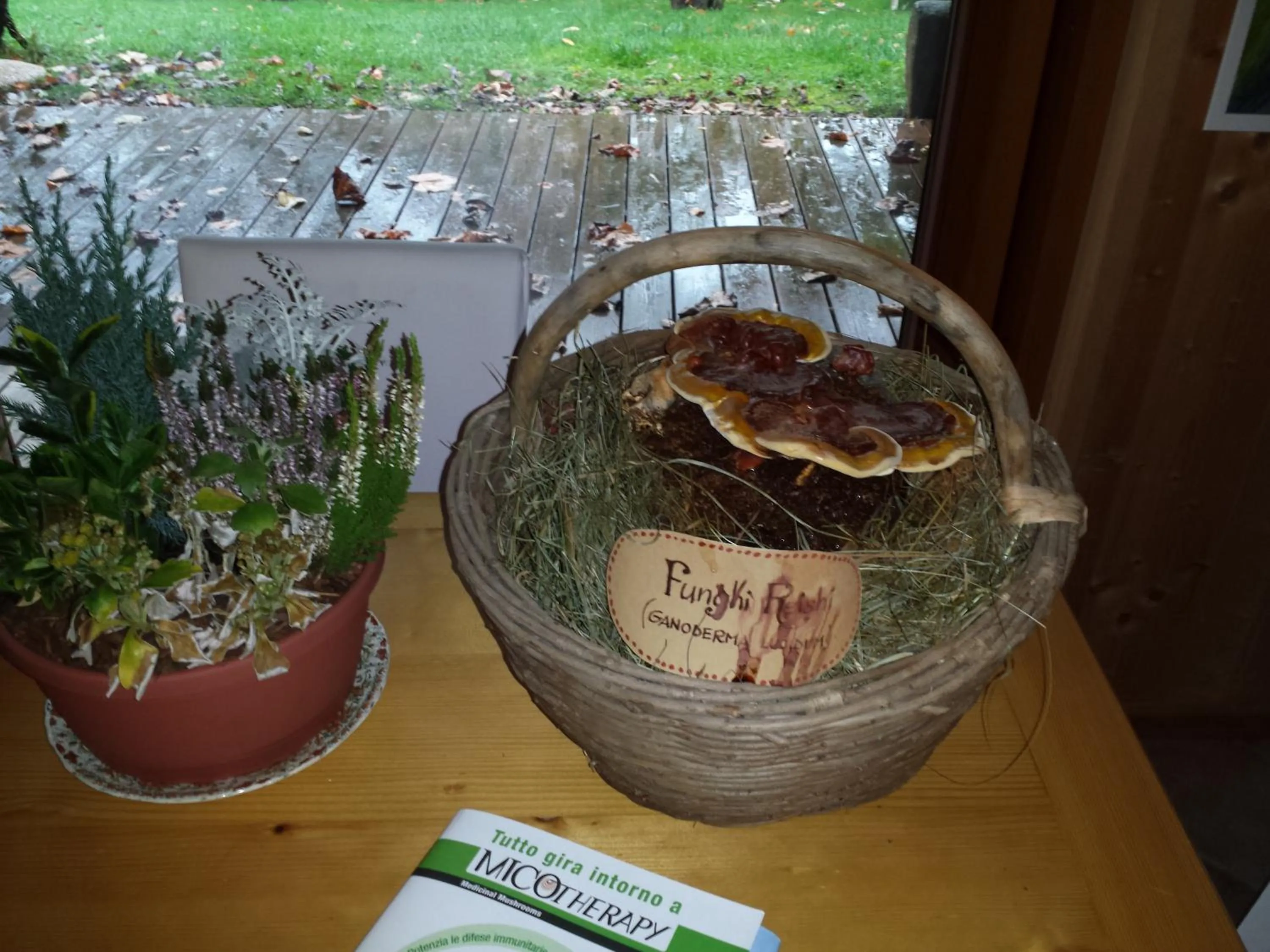 Decorative detail in BioAgriturismo Vegan Campo di Cielo