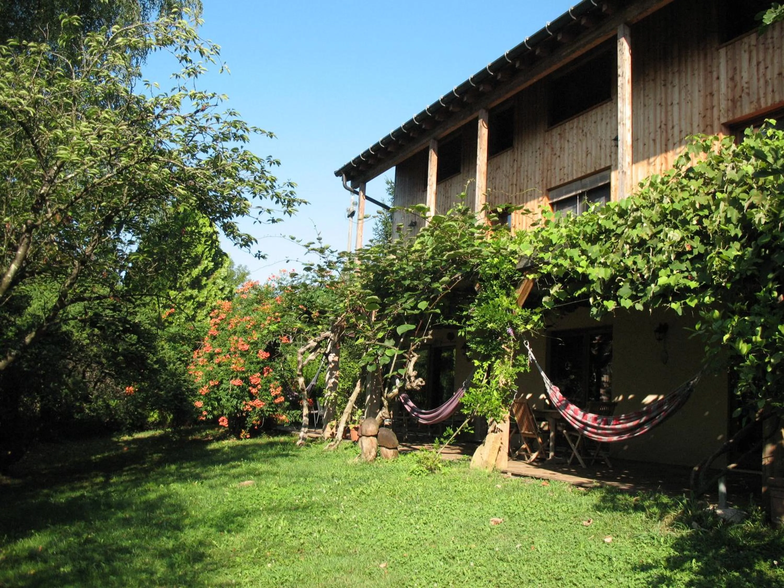Garden in BioAgriturismo Vegan Campo di Cielo