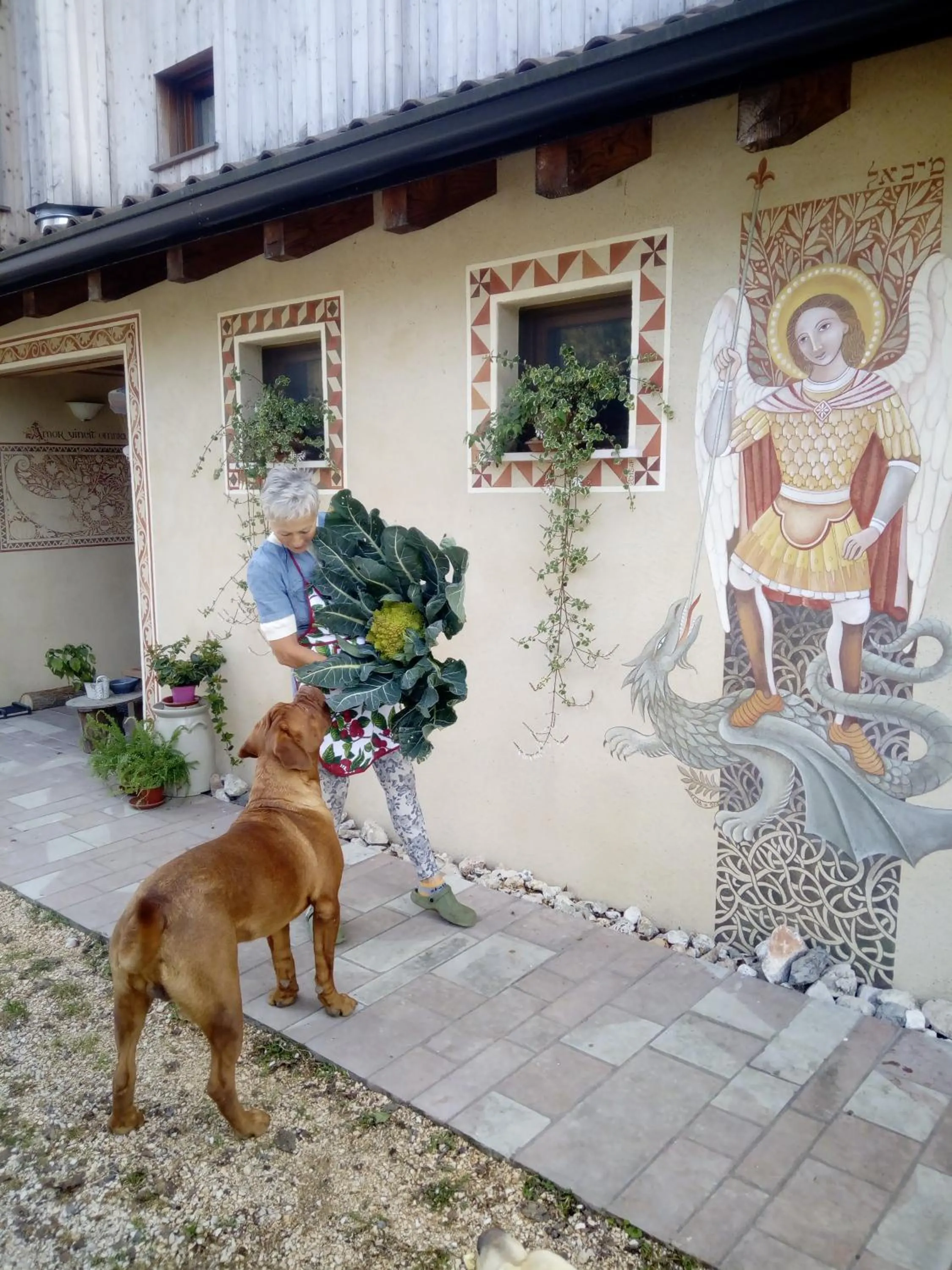 Facade/entrance in BioAgriturismo Vegan Campo di Cielo