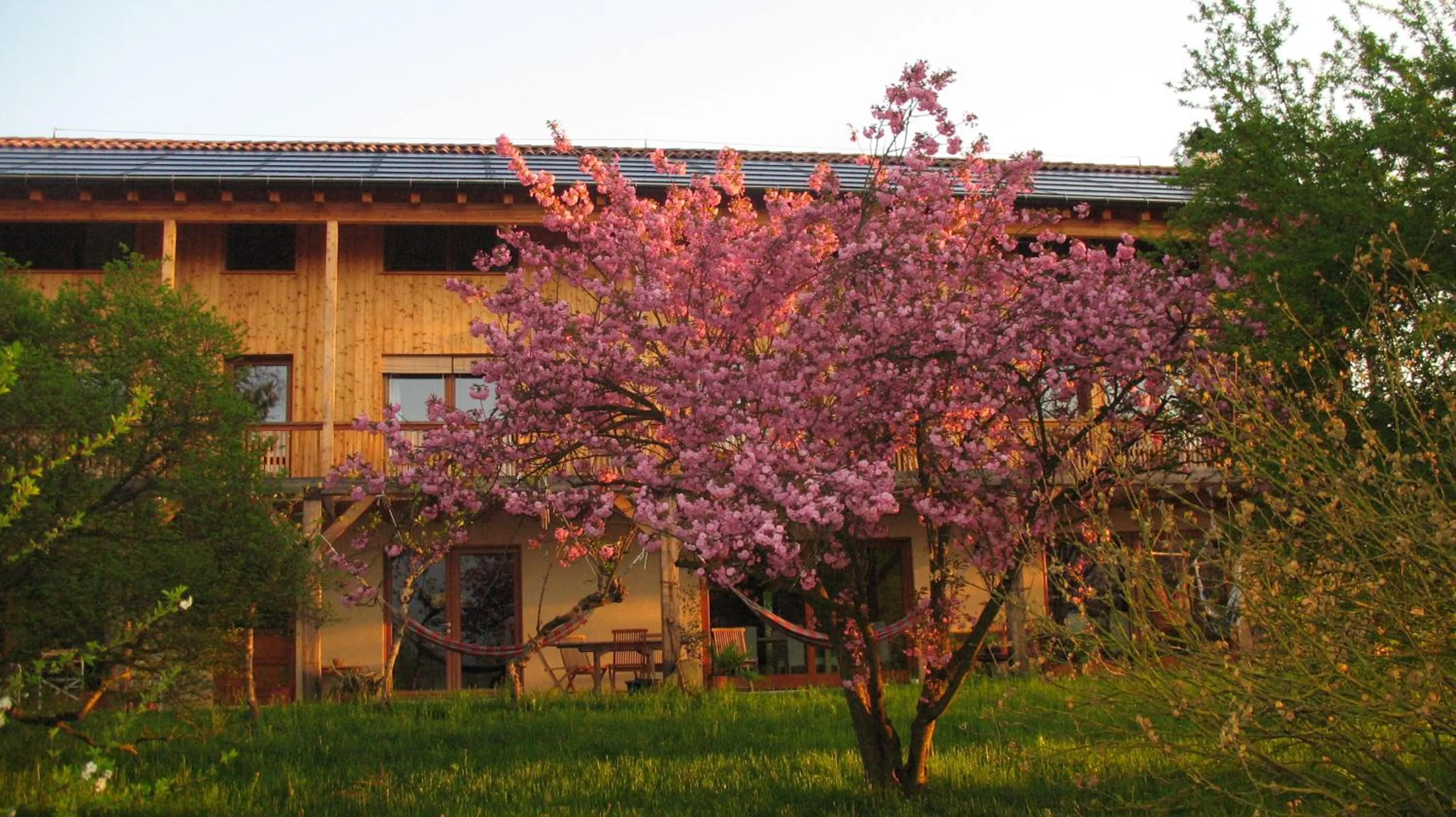 Garden in BioAgriturismo Vegan Campo di Cielo