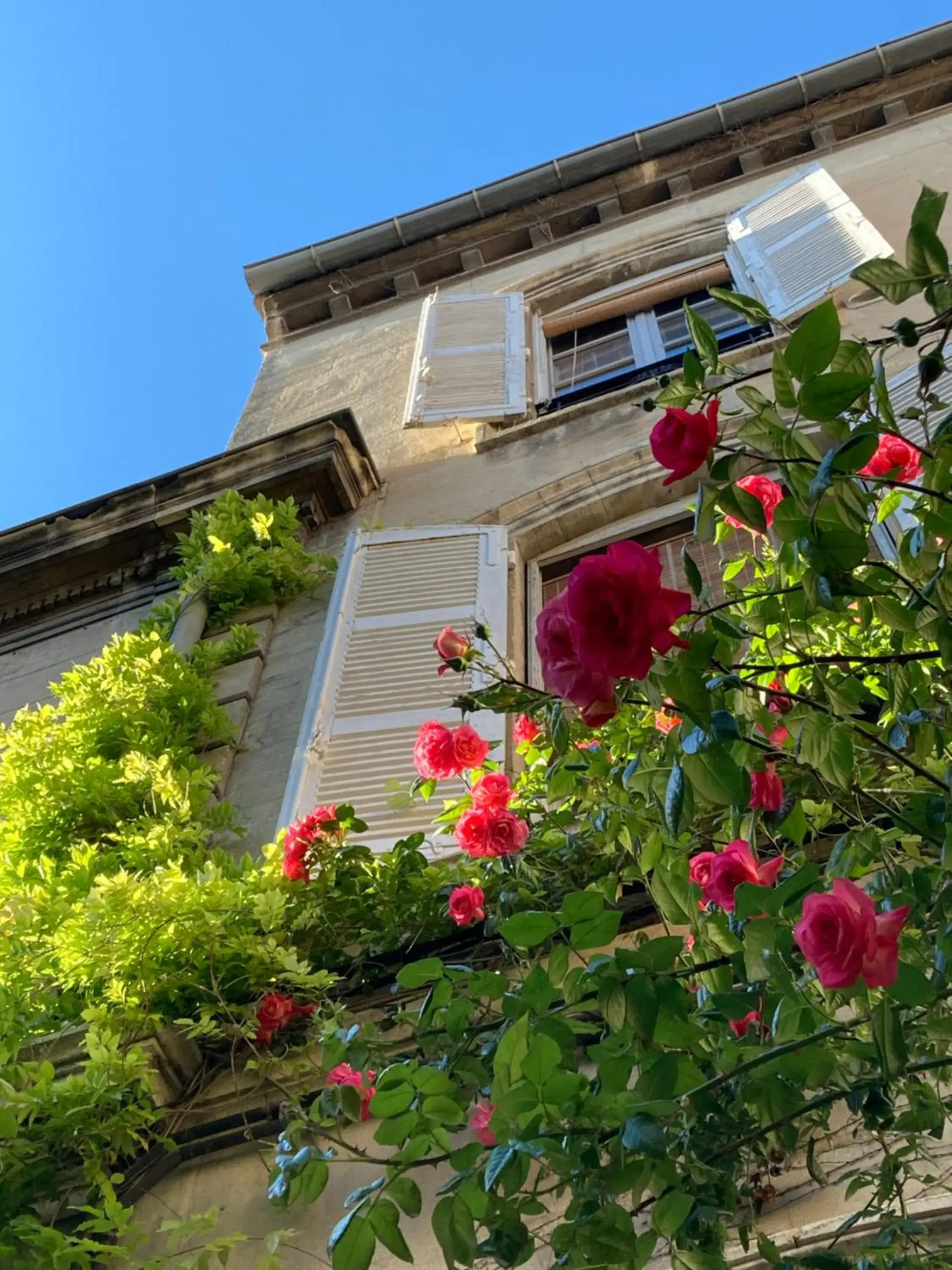 Cocooning Avignon Cocooning Avignon
