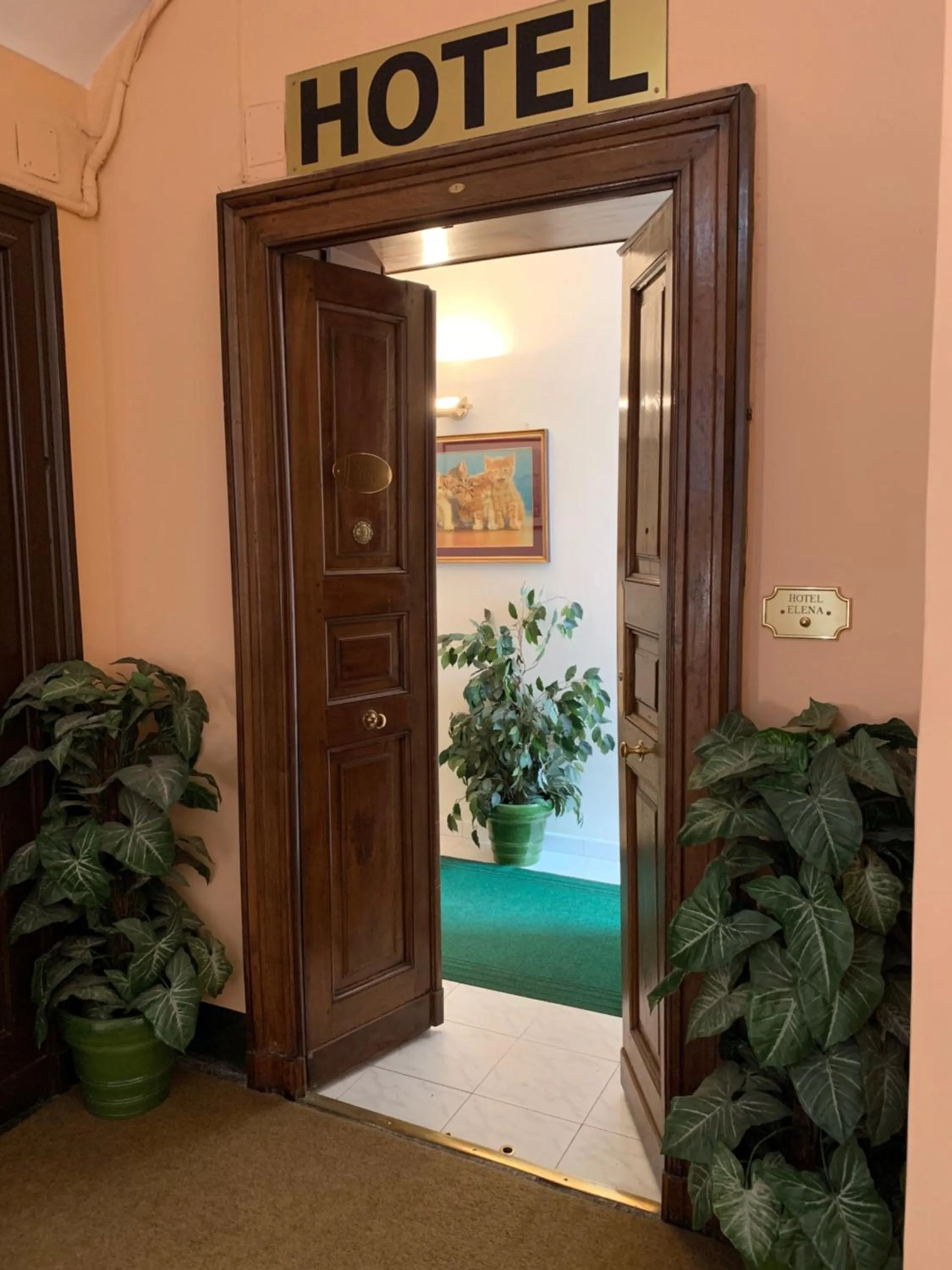 Facade/entrance in HOTEL ELENA