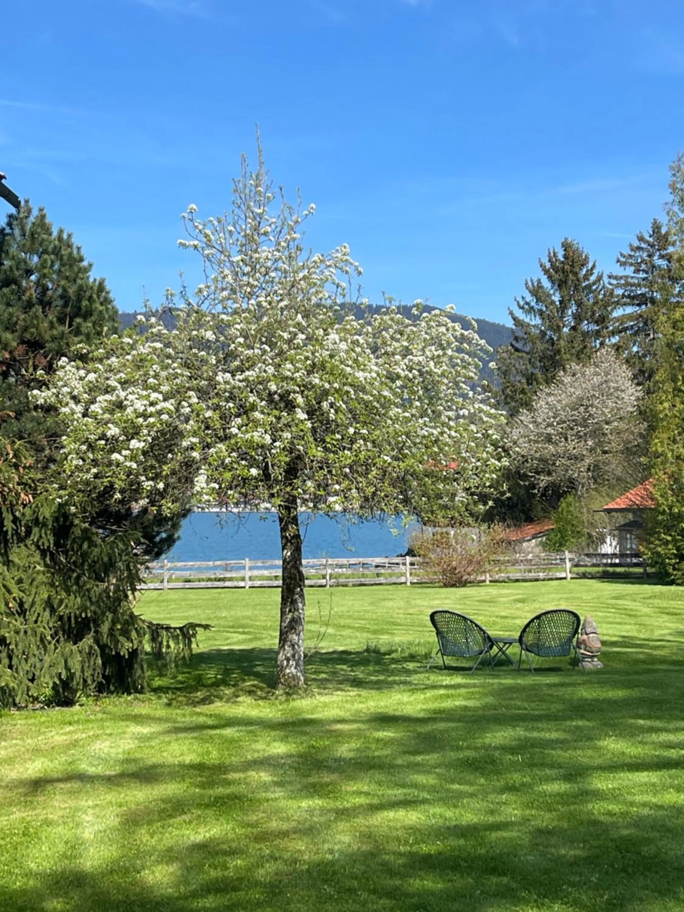 Garden in Landhaus Christl am See