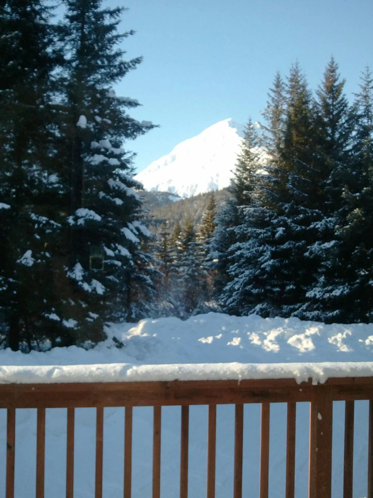 Property building in Glacier Creek Lodging