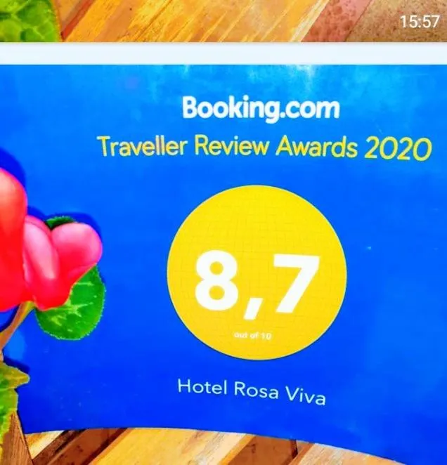 Standard Double Room in Hotel Rosa Viva