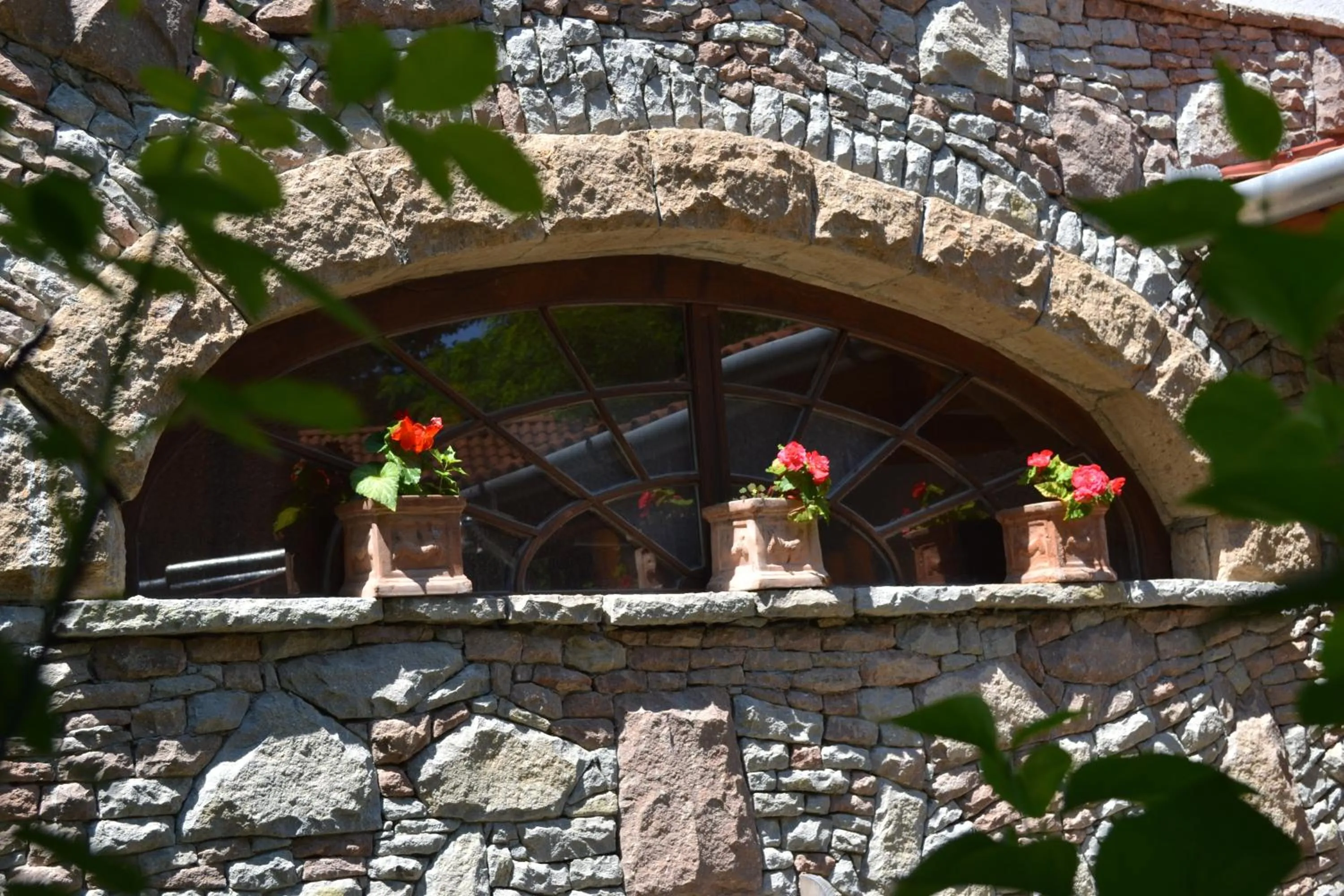 Garden in Nomad Hotel & Glamping