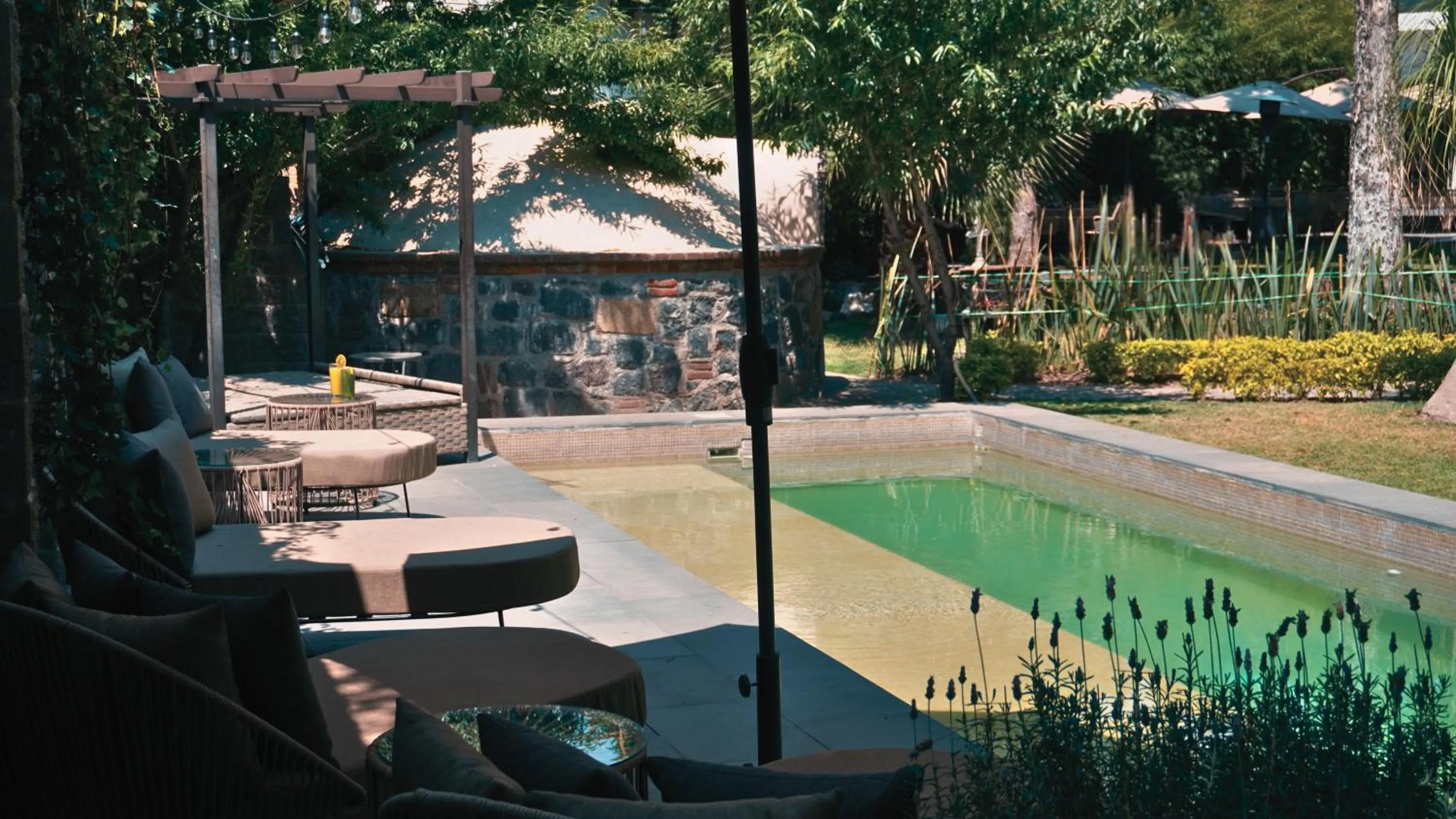 Garden in Hotel Boutique Camino Del Bosque