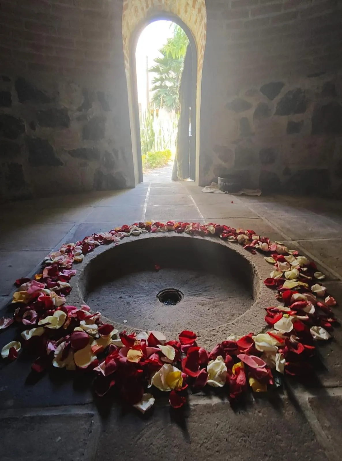 Hotel Boutique Camino Del Bosque