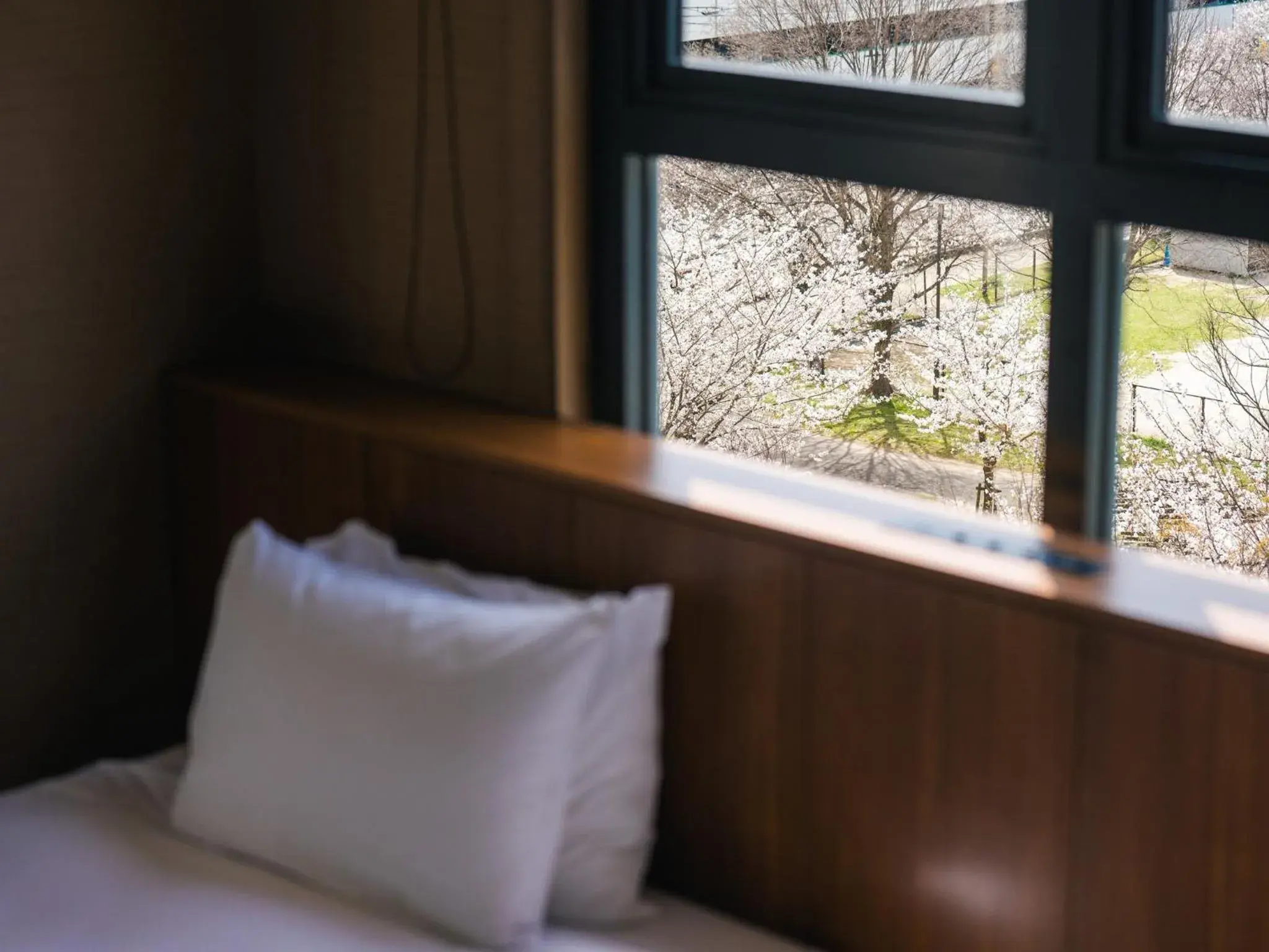 THE BASICS FUKUOKA THE BASICS FUKUOKA