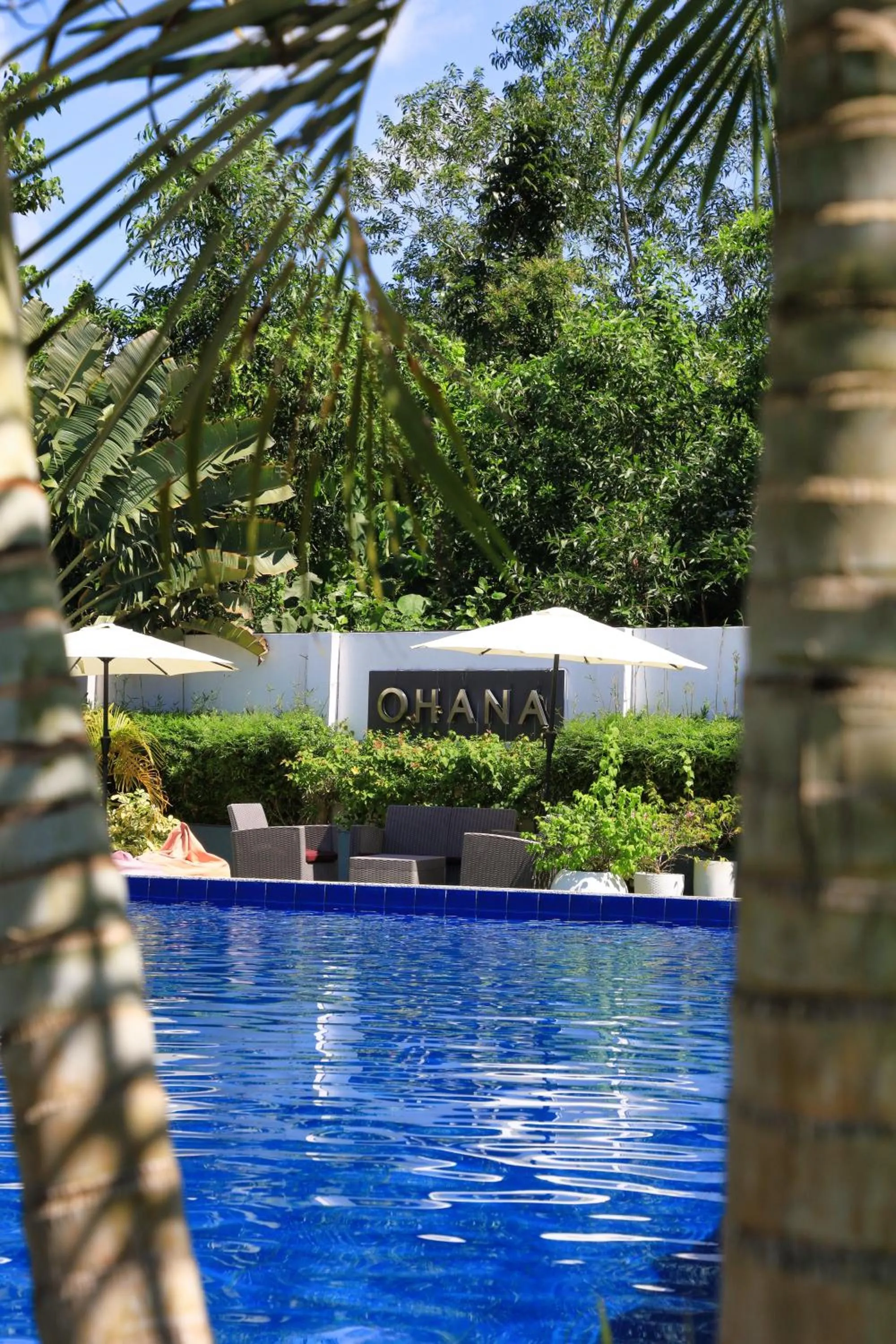 Garden in OHANA, Panglao Resort.