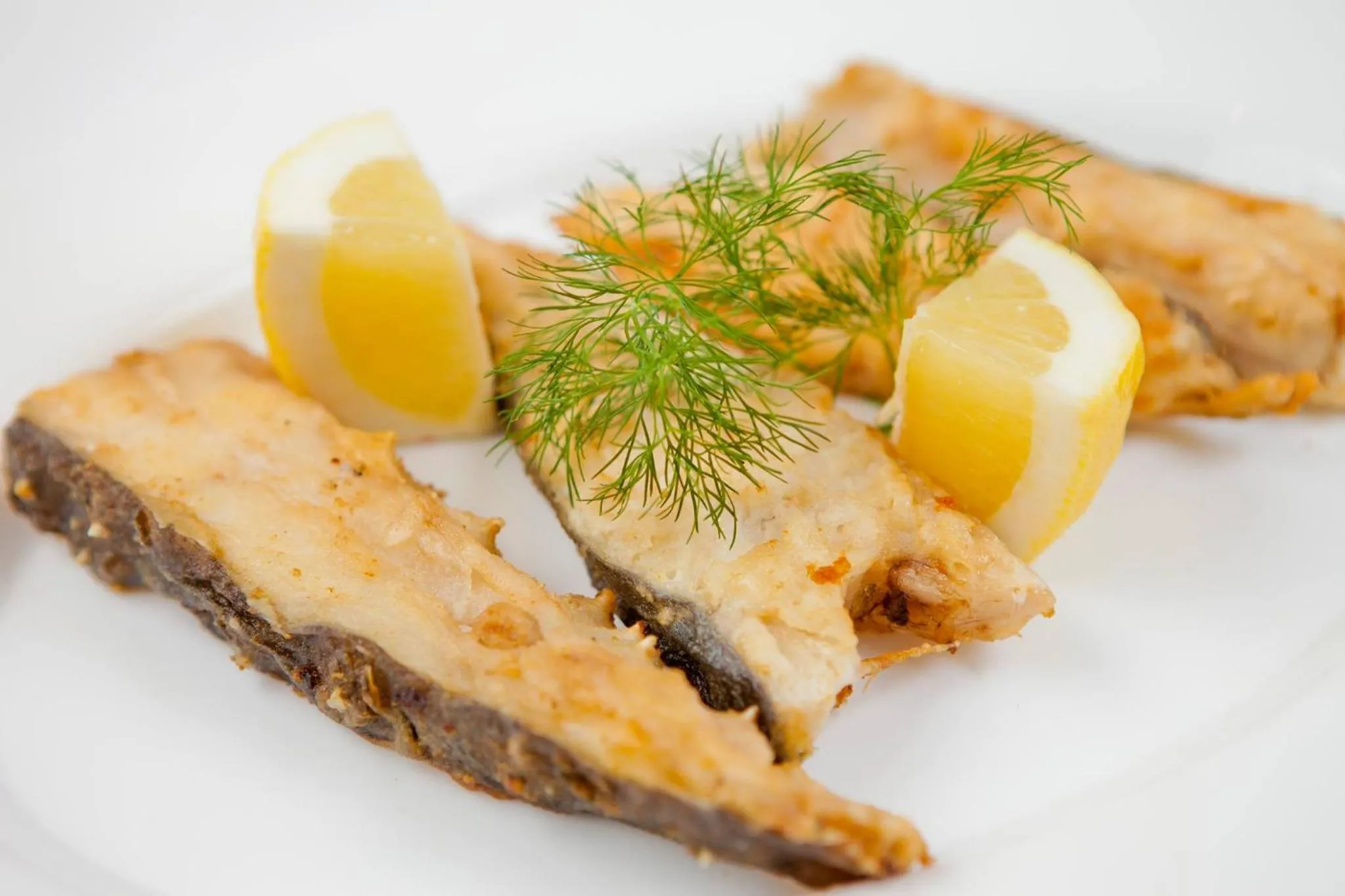 Food and drinks in Hotel Albatros New Town