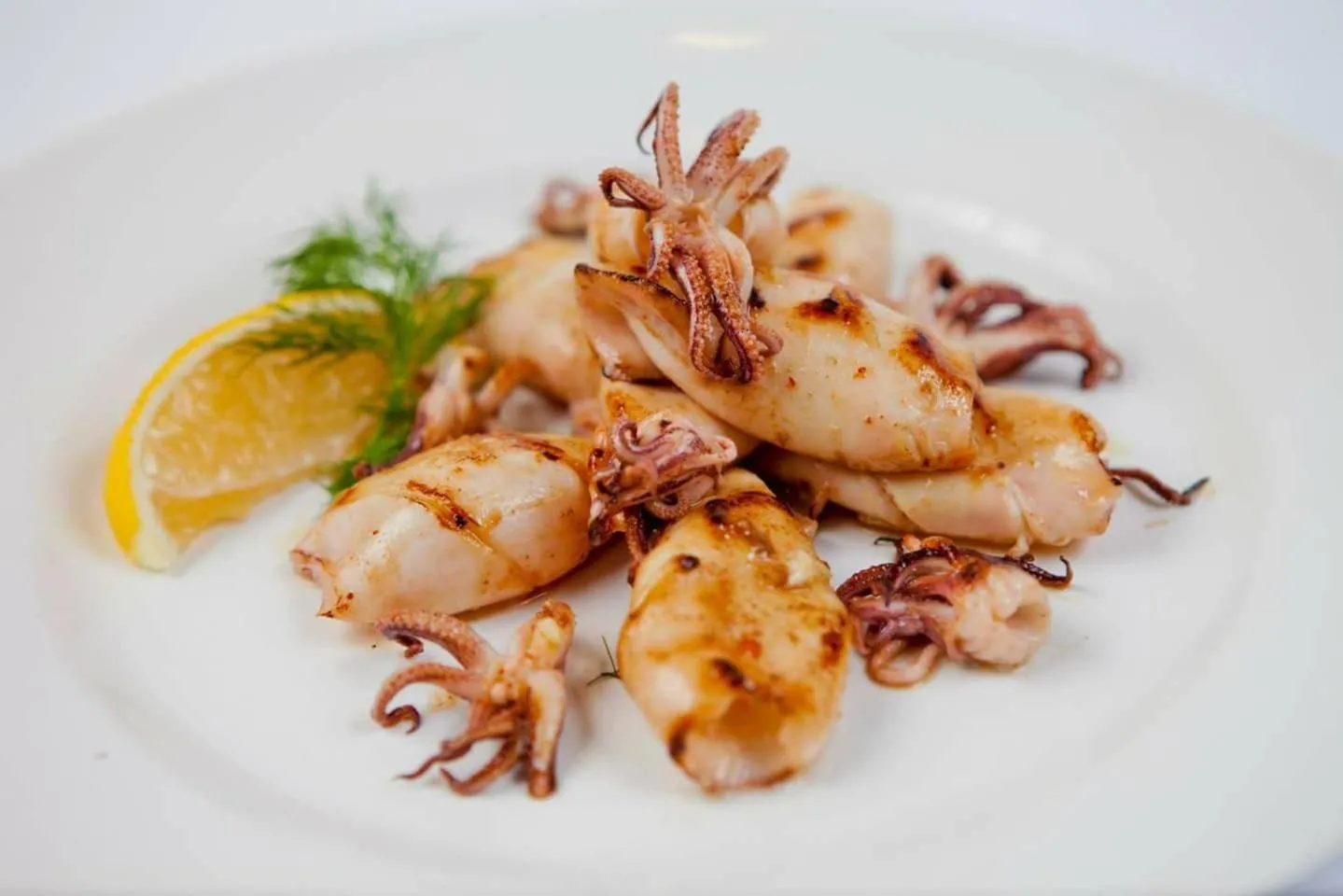Food and drinks in Hotel Albatros New Town