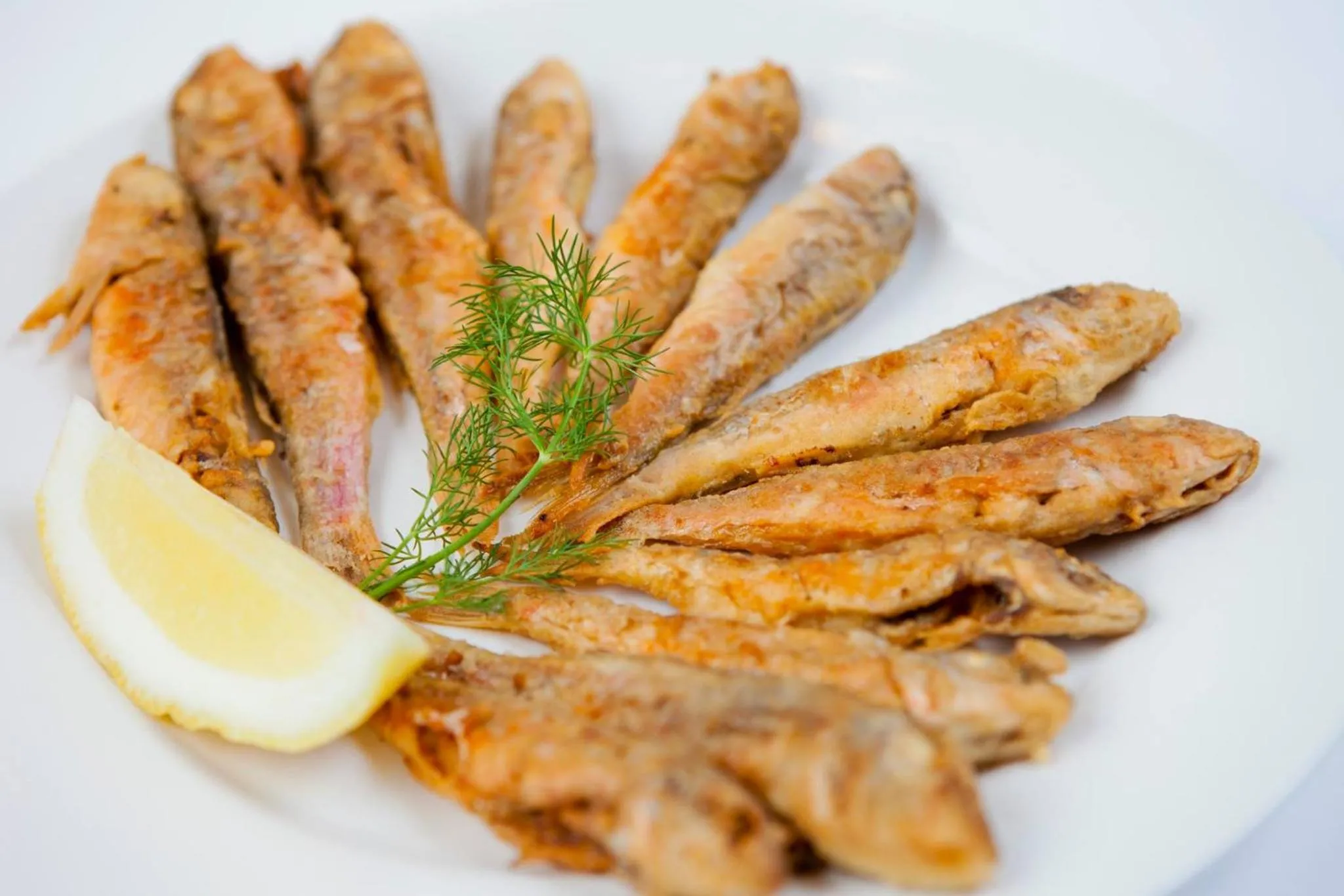 Food and drinks in Hotel Albatros New Town