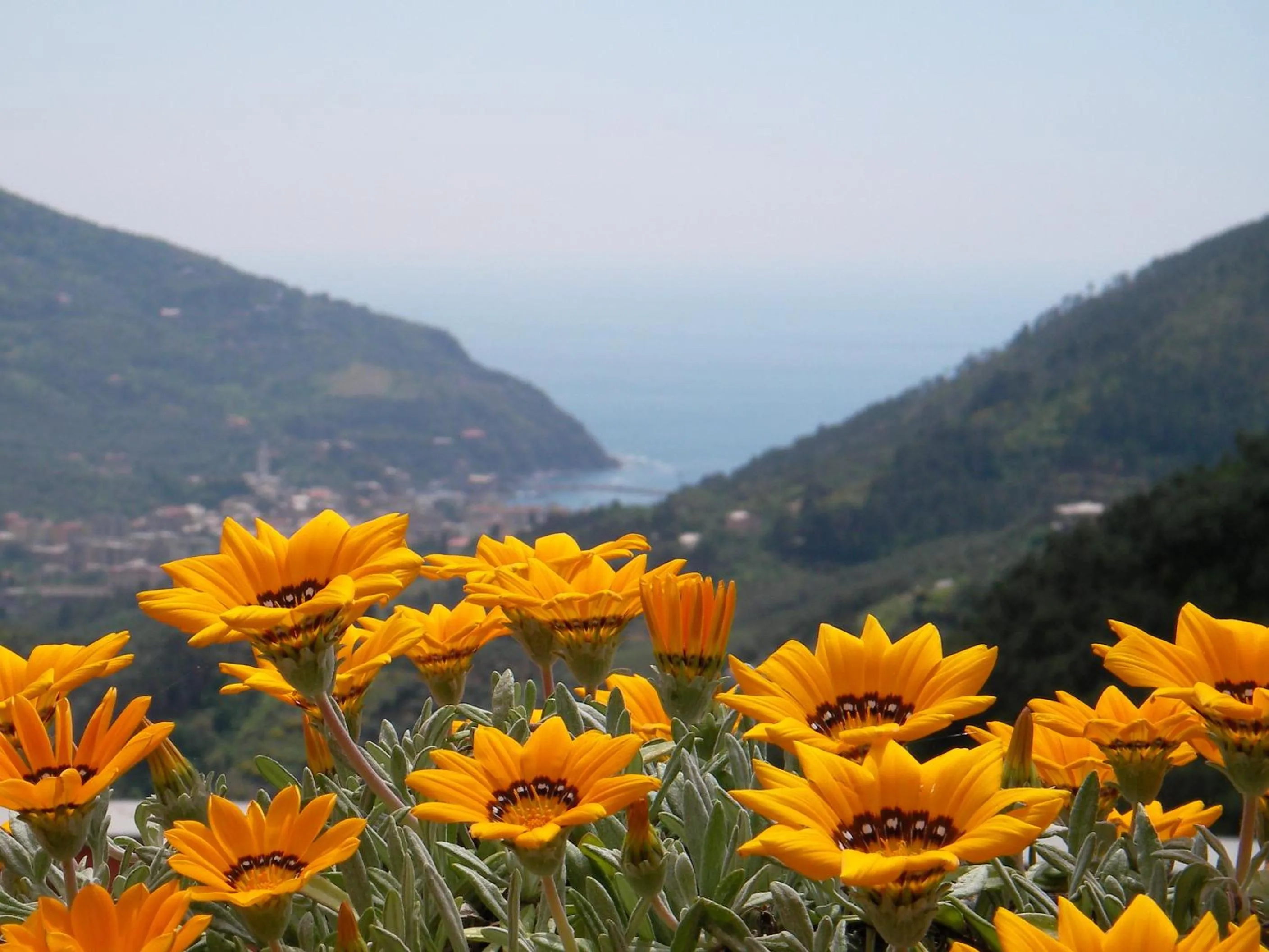 Natural landscape in L'Antico Borgo B&B
