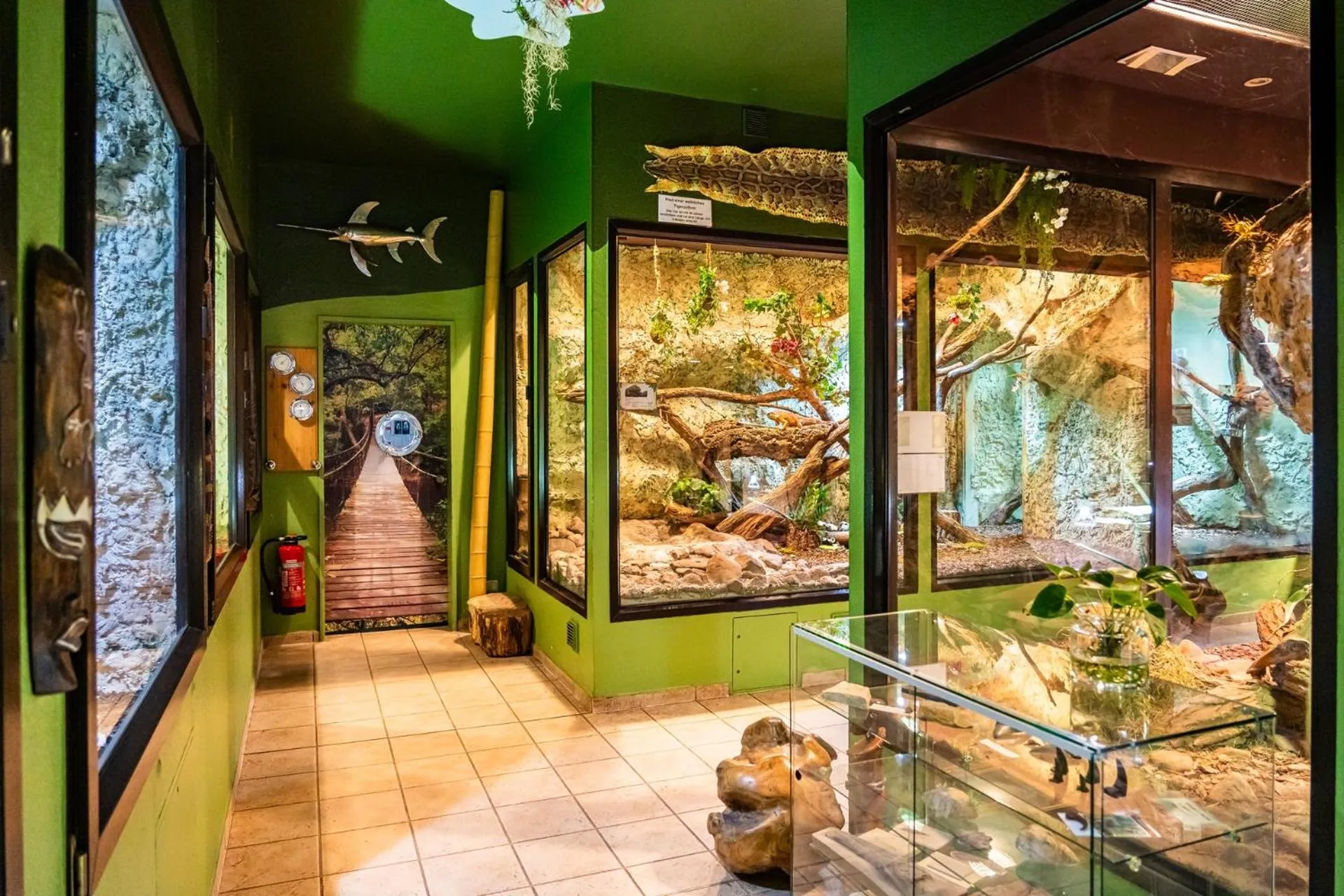 Activities in Aparthotel Tropenhaus Bansin