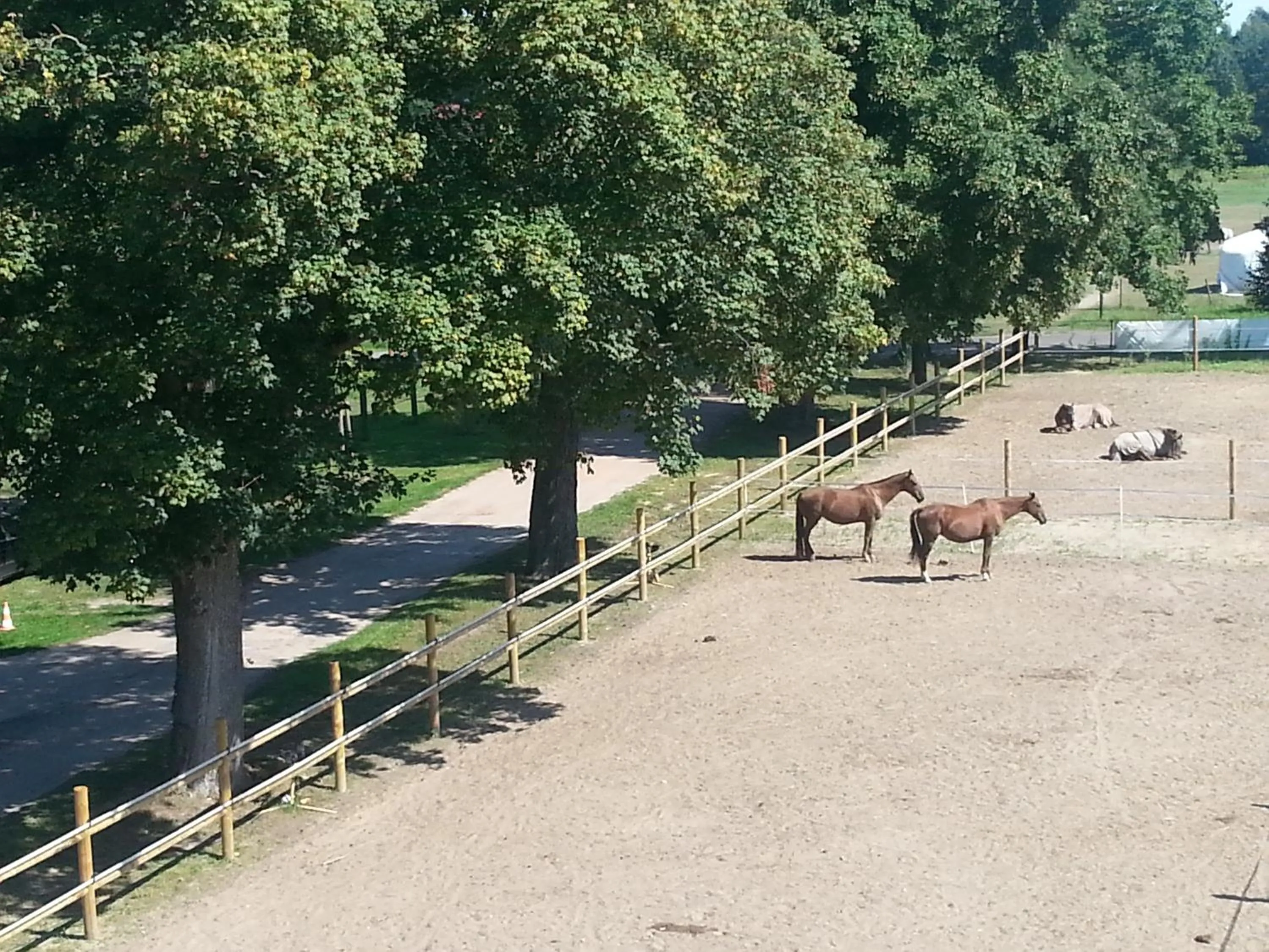 Animals in Gästehaus am Landgut