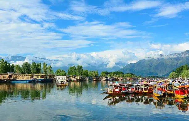 Hotel Green Leaf Srinagar Hotel Green Leaf Srinagar