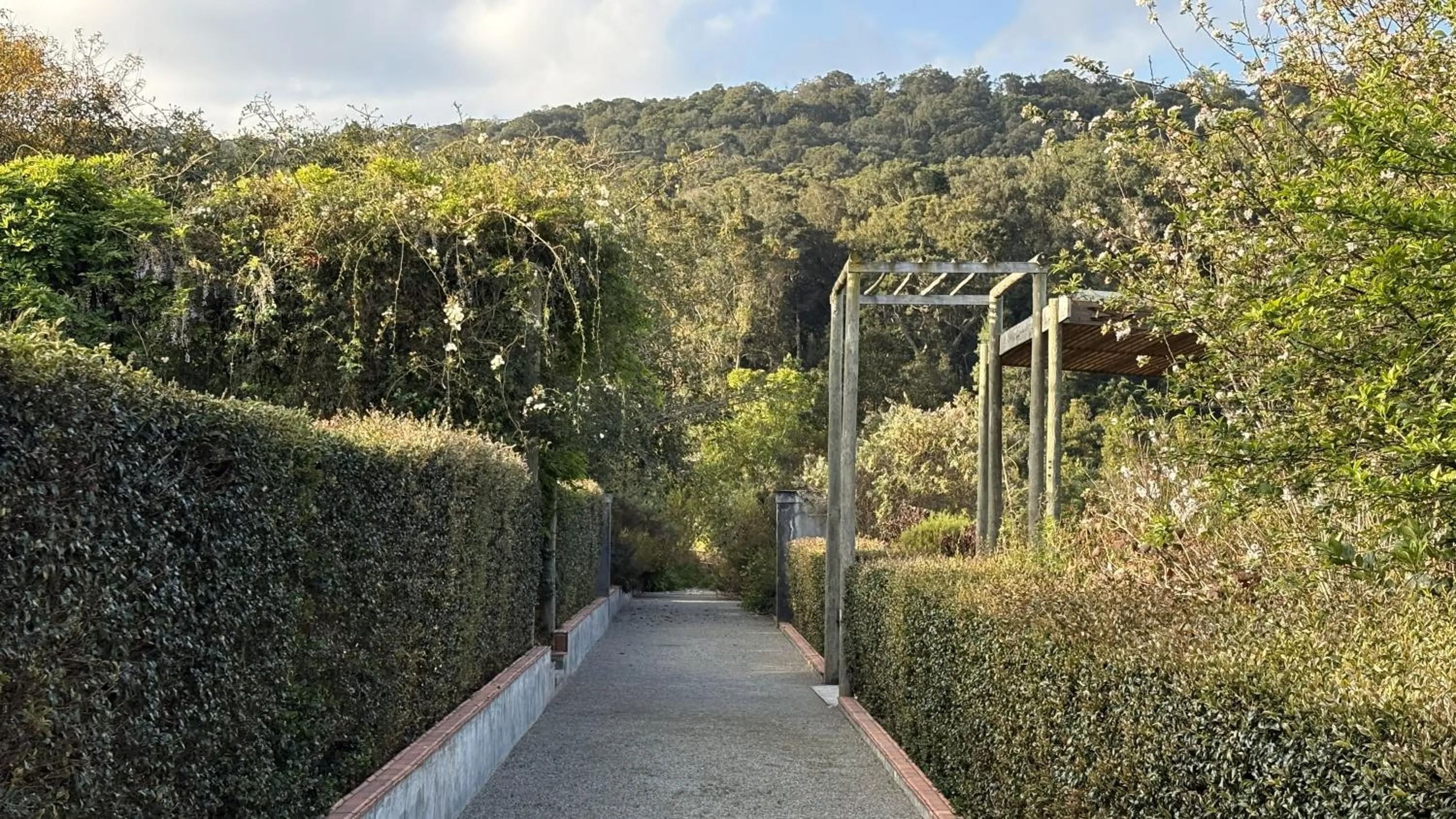 Woodcutters Forest Cottages
