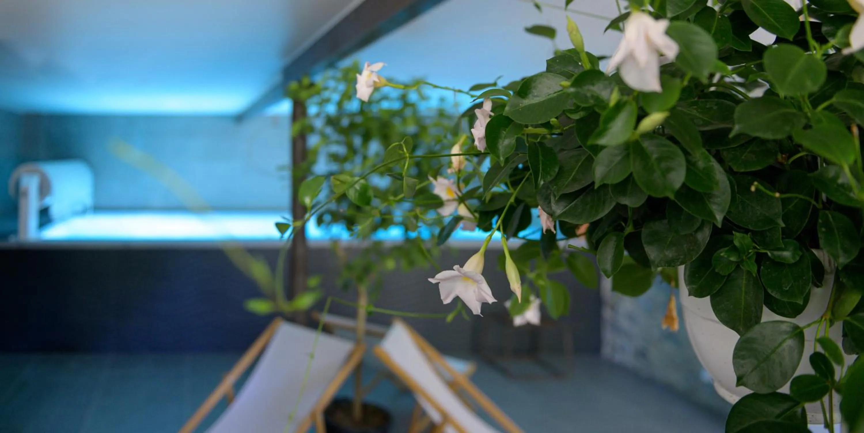 Spa and wellness centre/facilities in Couvent de la Salette & Spa