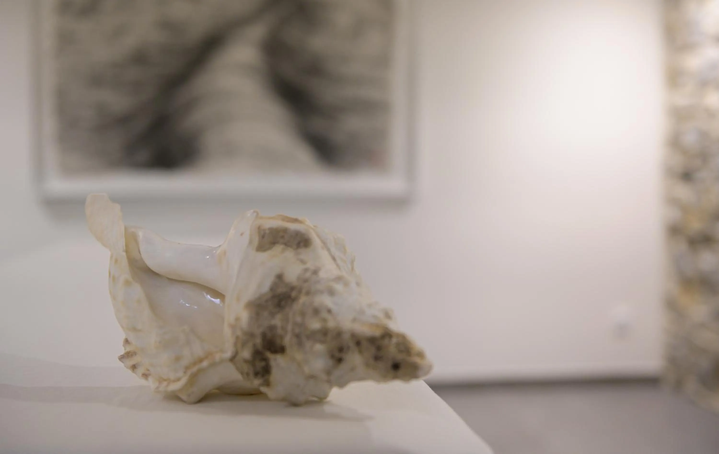 Massage in Couvent de la Salette & Spa