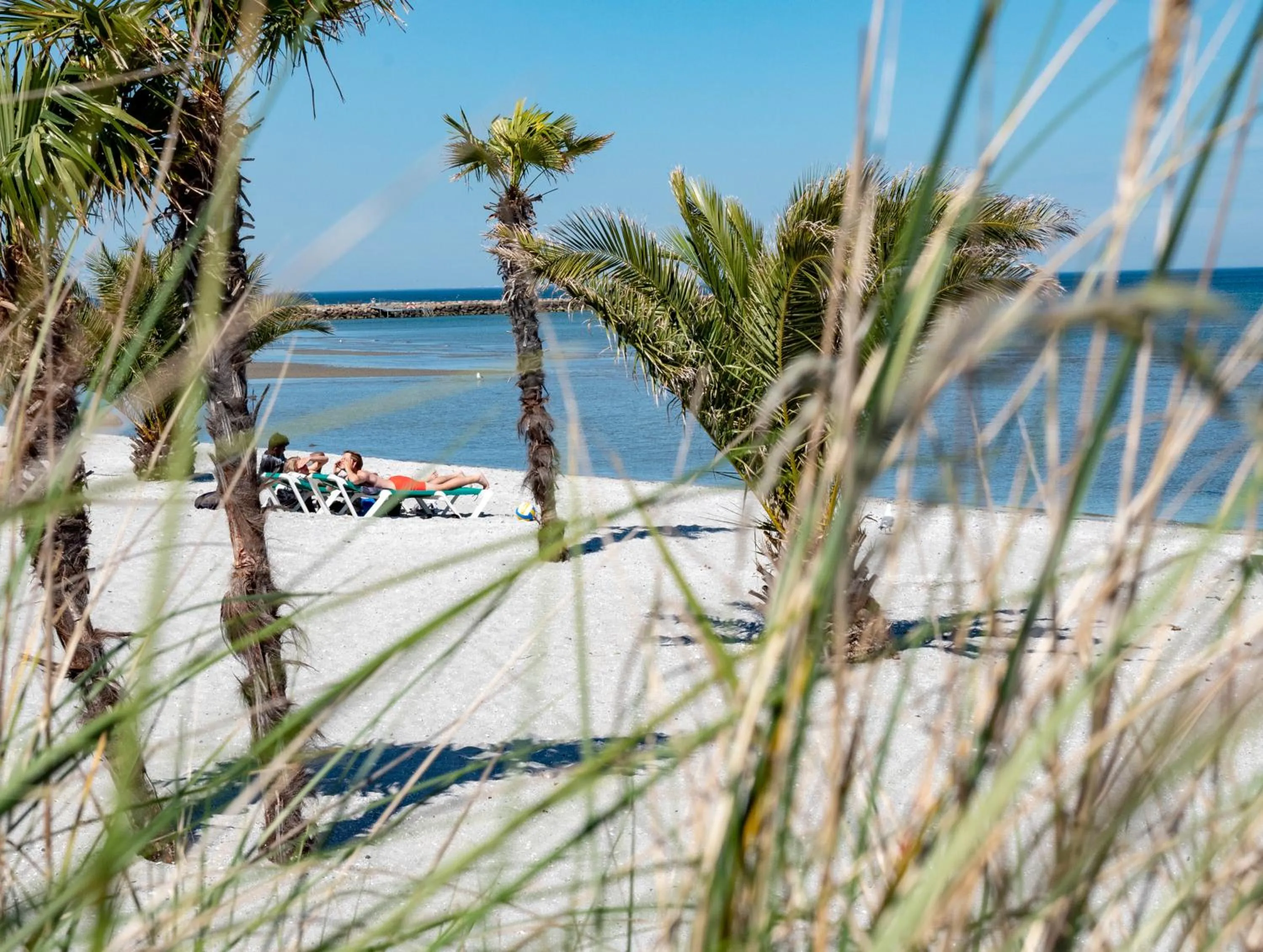 Natural landscape in Hotel Frederikshavn