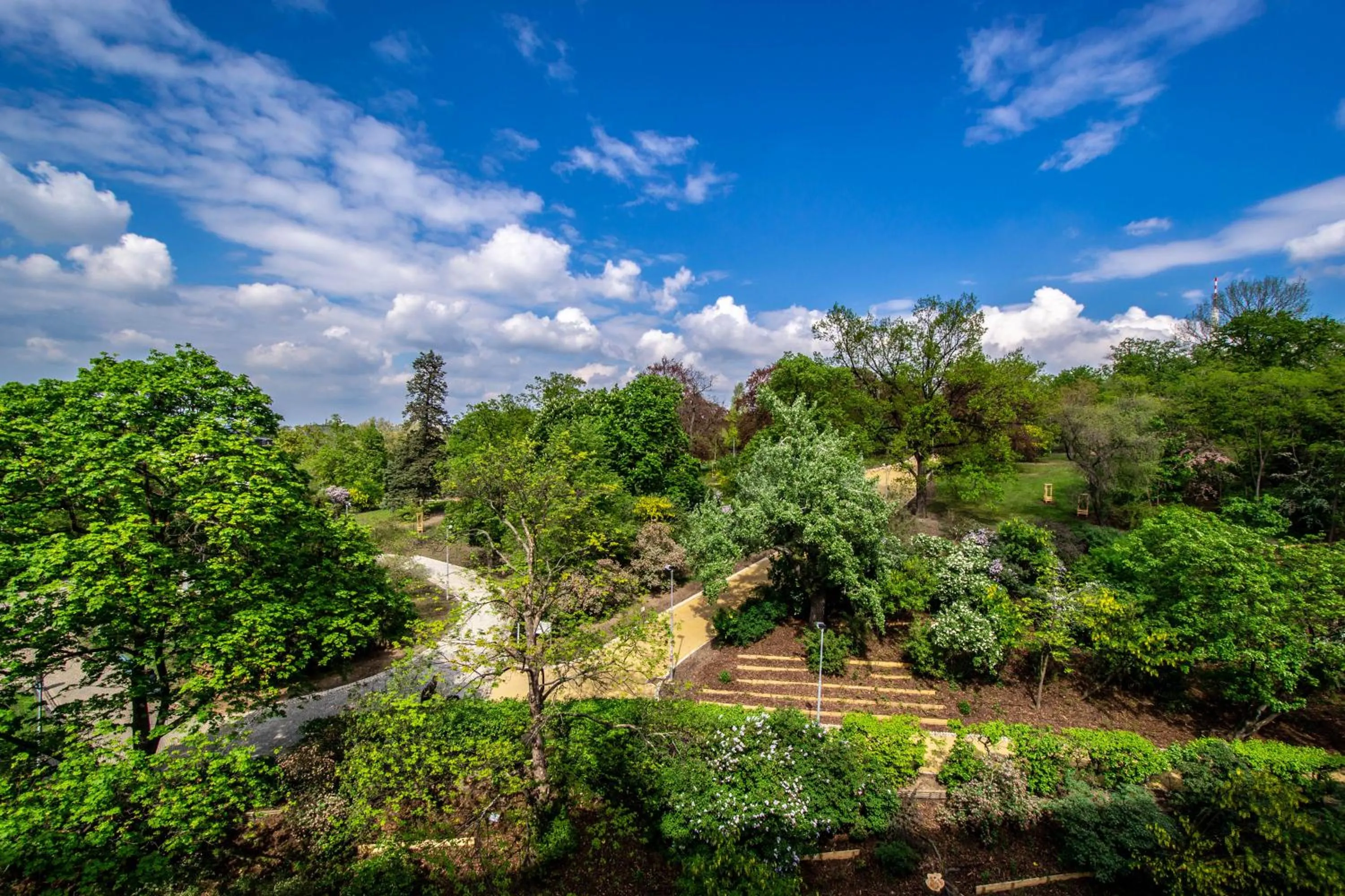 View (from property/room) in Garden Apartments